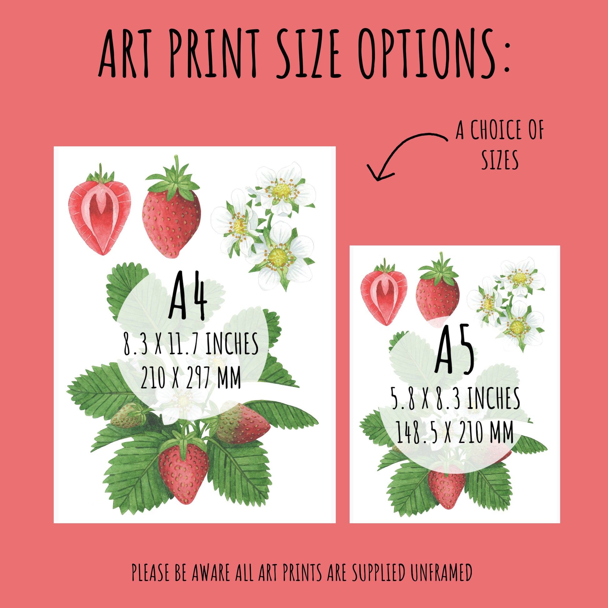 showing the size of the Botanical Strawberry Art Print. Two sizes available A4 (210 x 297mm) & A5 (148.5 x 210 mm)