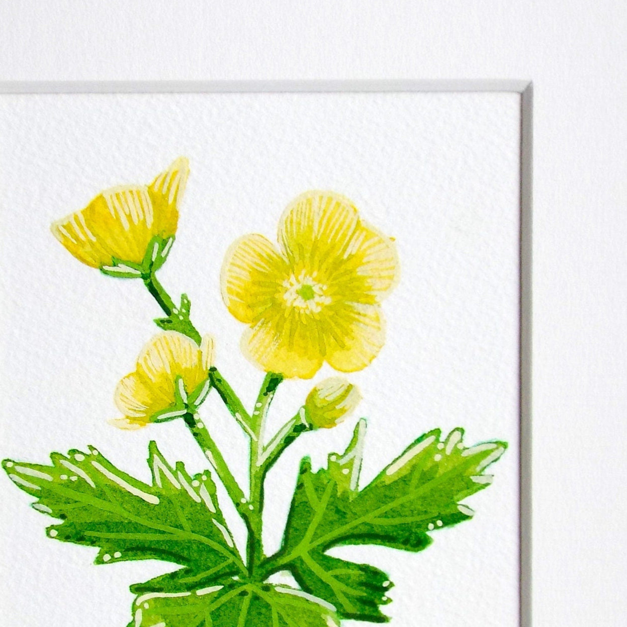 A close up of the buttercup flower painting showing the details and textures on the green leaves and yellow flowers.
