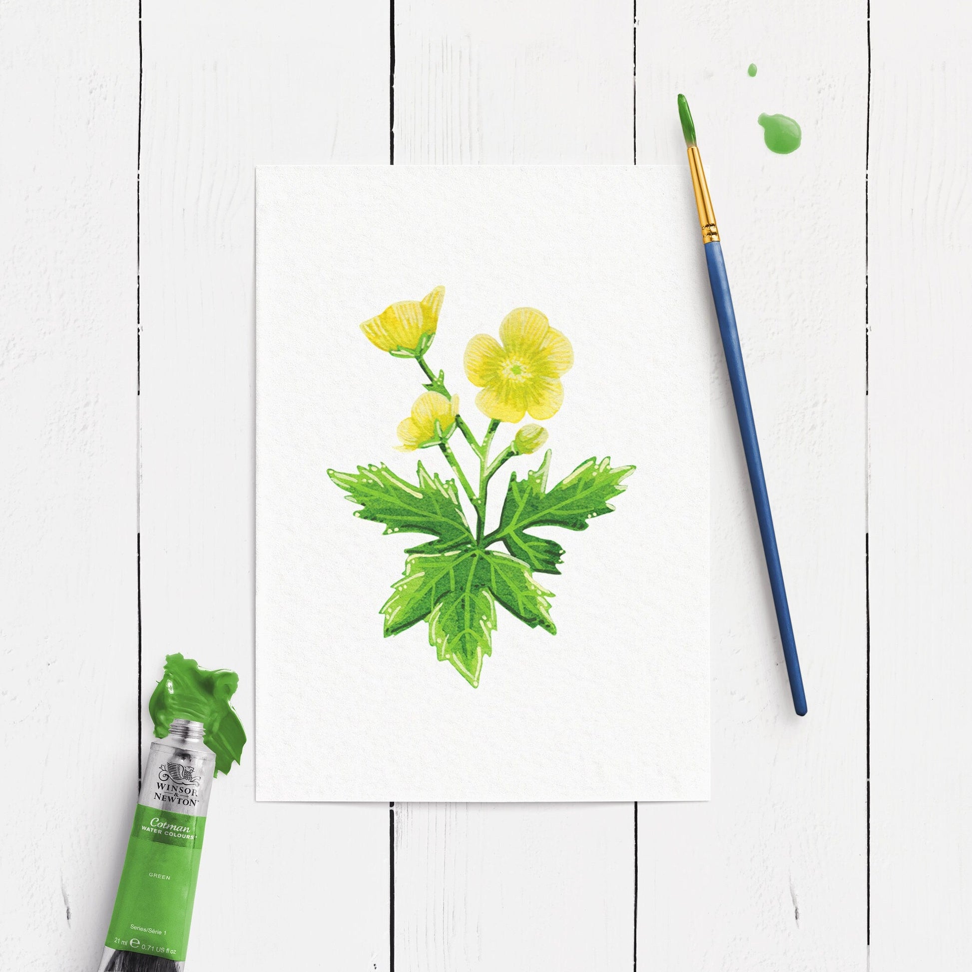 Painting of yellow buttercup flowers with green leaves on a white wooden surface, accompanied by a paintbrush and paint tube.