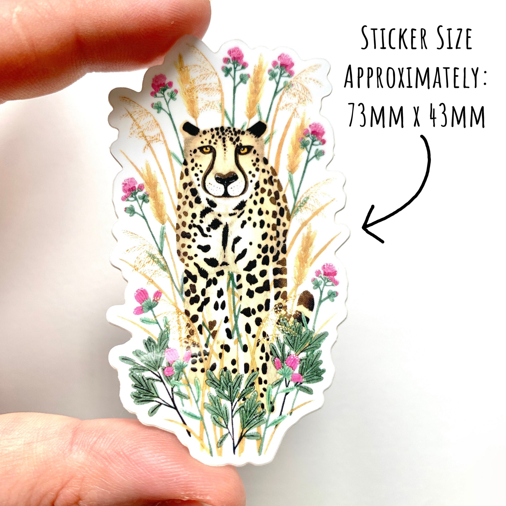 showing the size of the Cheetah Sticker 73mm x 43mm