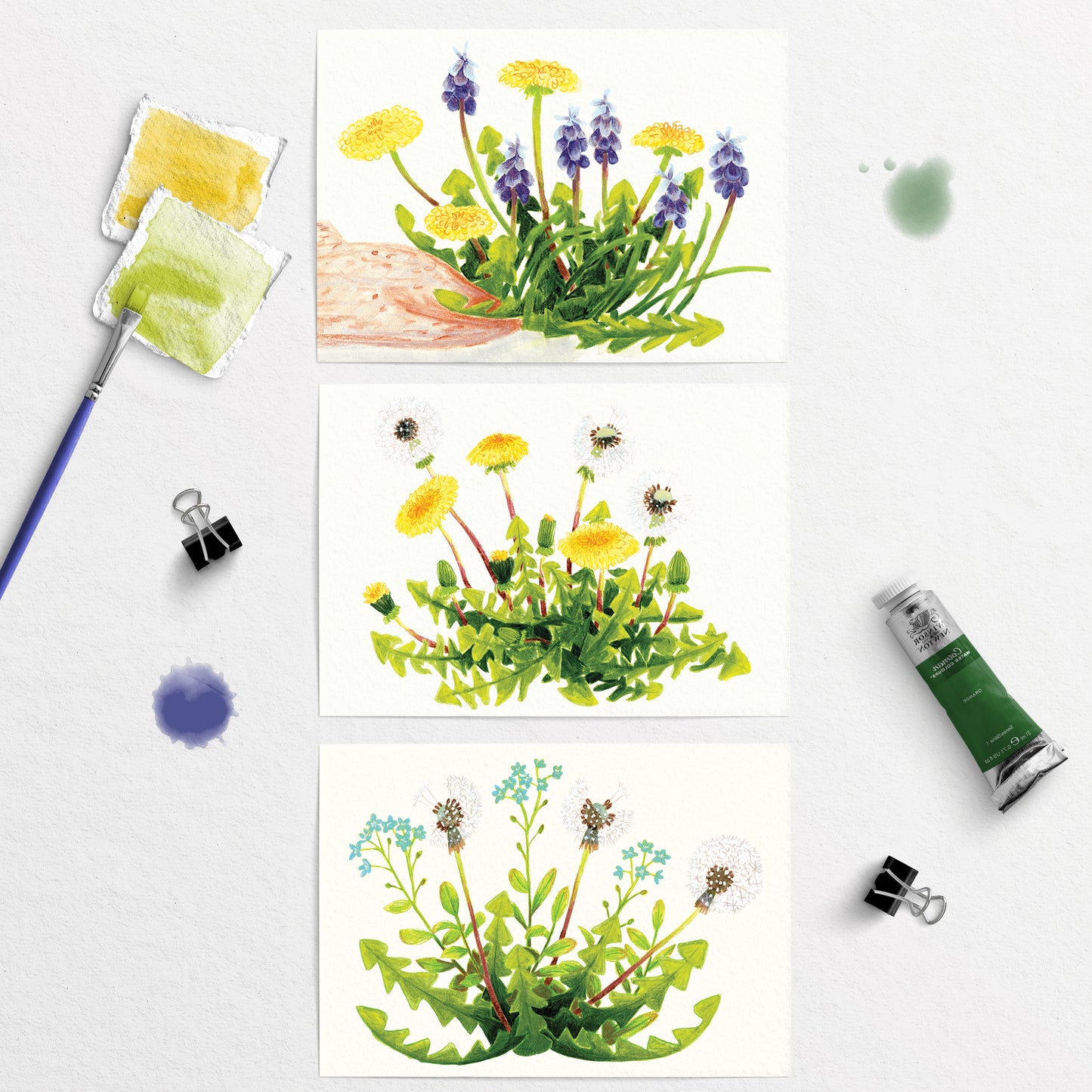 3 Artistic illustrations postcards of wild dandelions and plants with painting tools on a white background