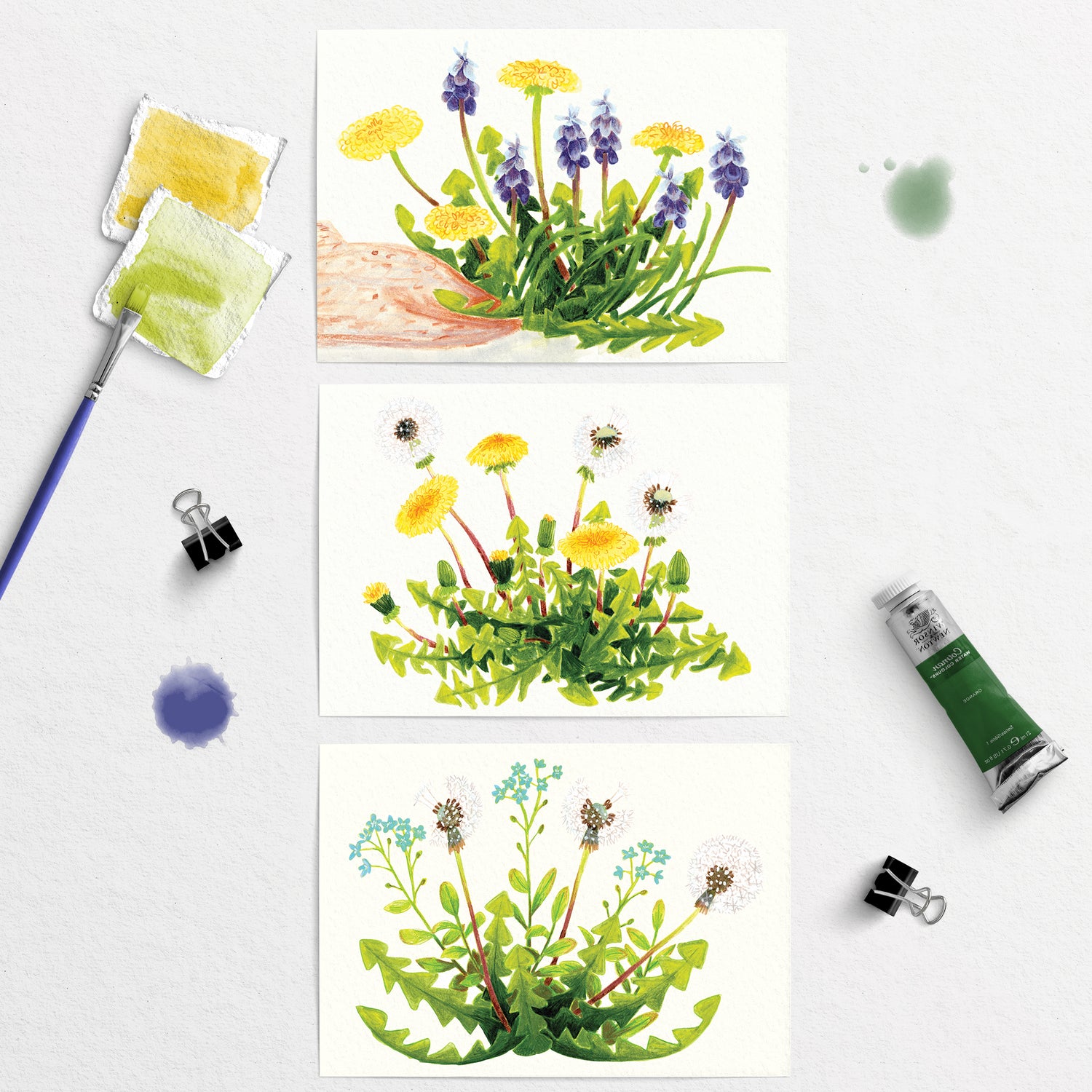 3 Artistic illustrations postcards of wild dandelions and plants with painting tools on a white background