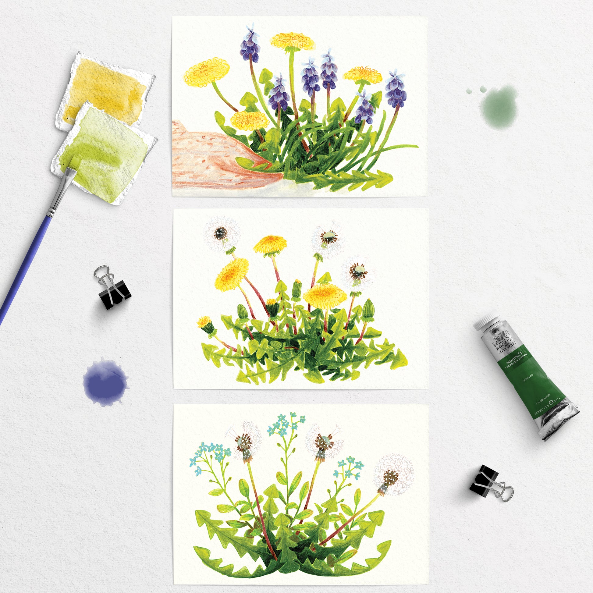 3 Artistic illustrations postcards of wild dandelions and plants with painting tools on a white background