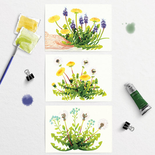 3 Artistic illustrations postcards of wild dandelions and plants with painting tools on a white background