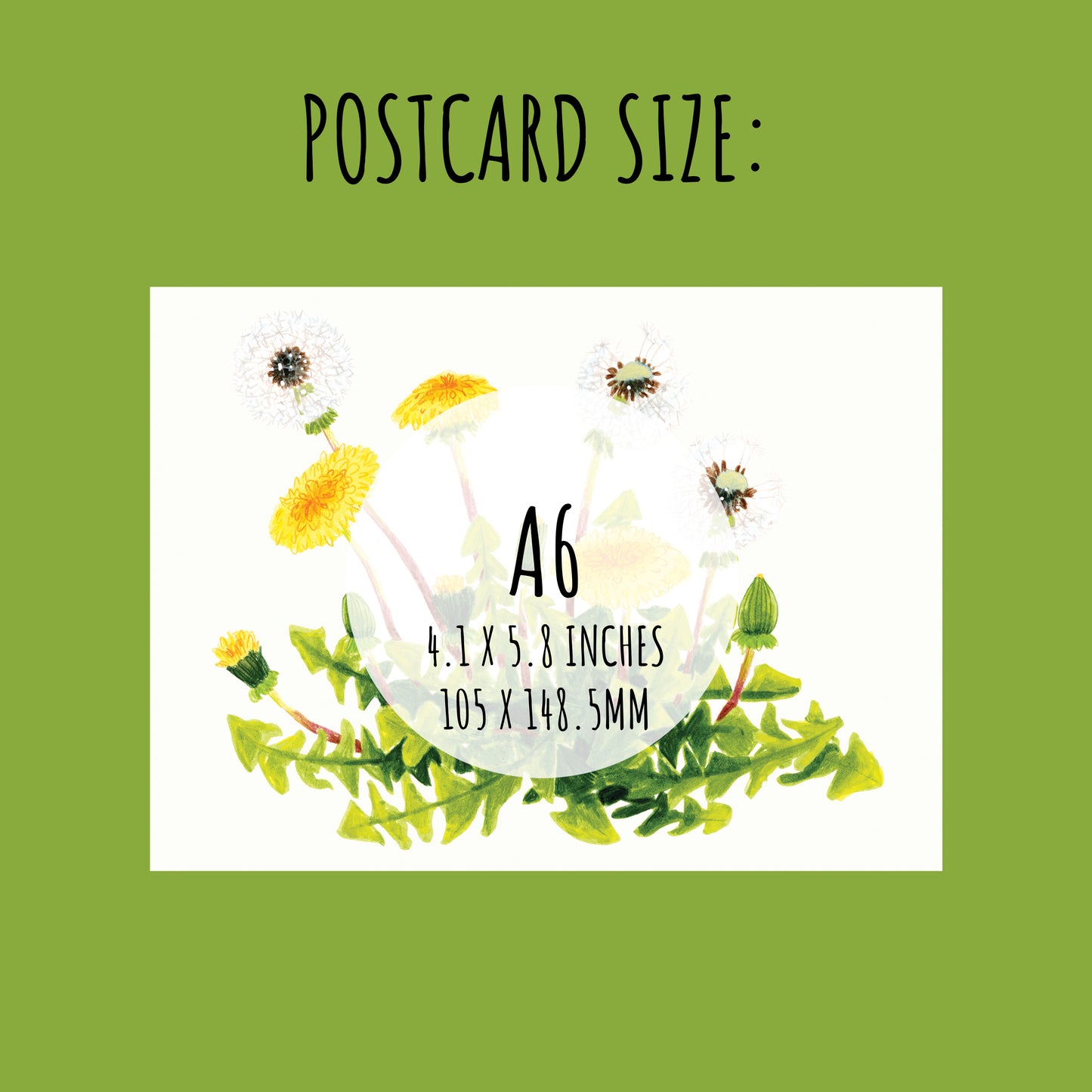 Postcard size A6 with dandelion illustration on a green background