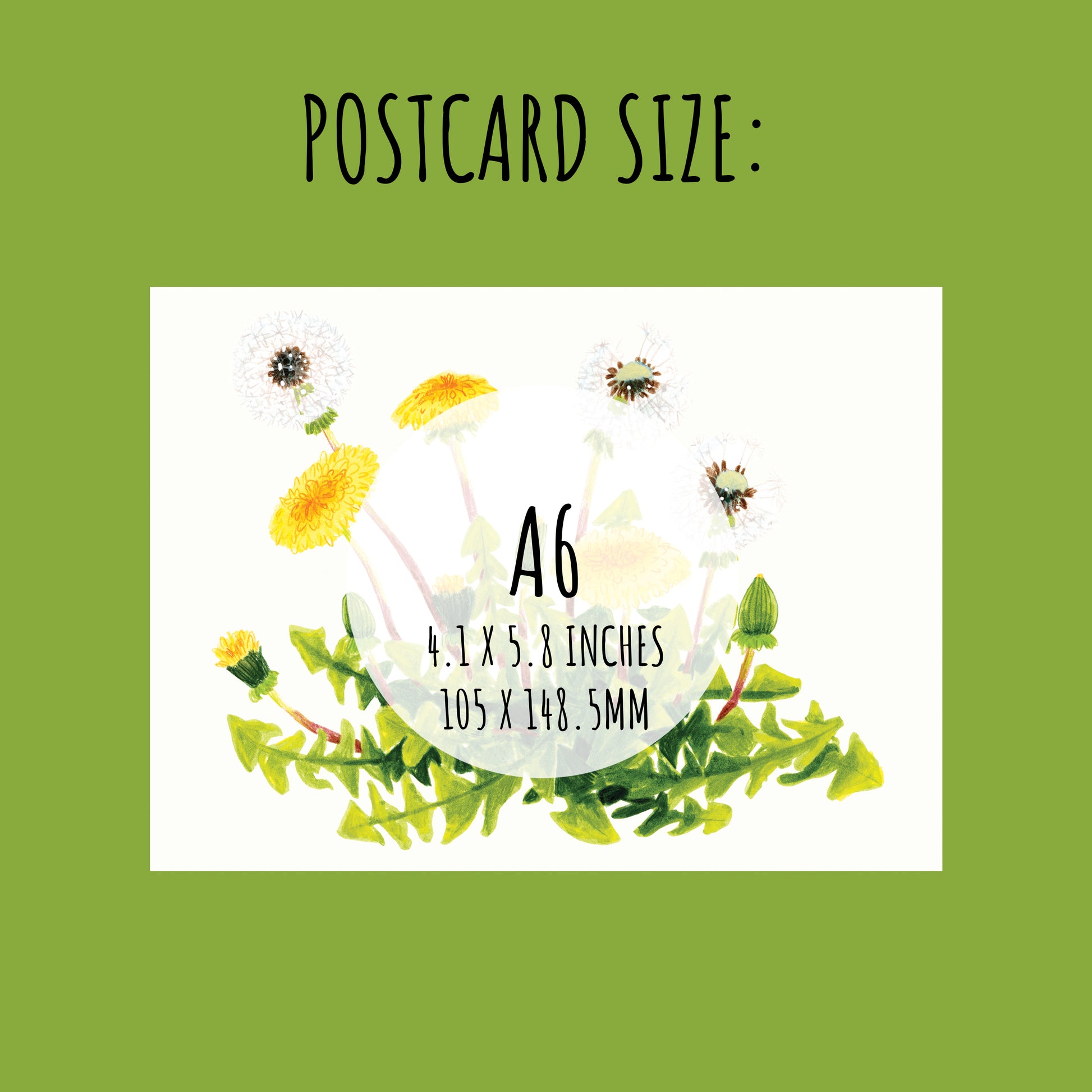 Postcard size A6 with dandelion illustration on a green background