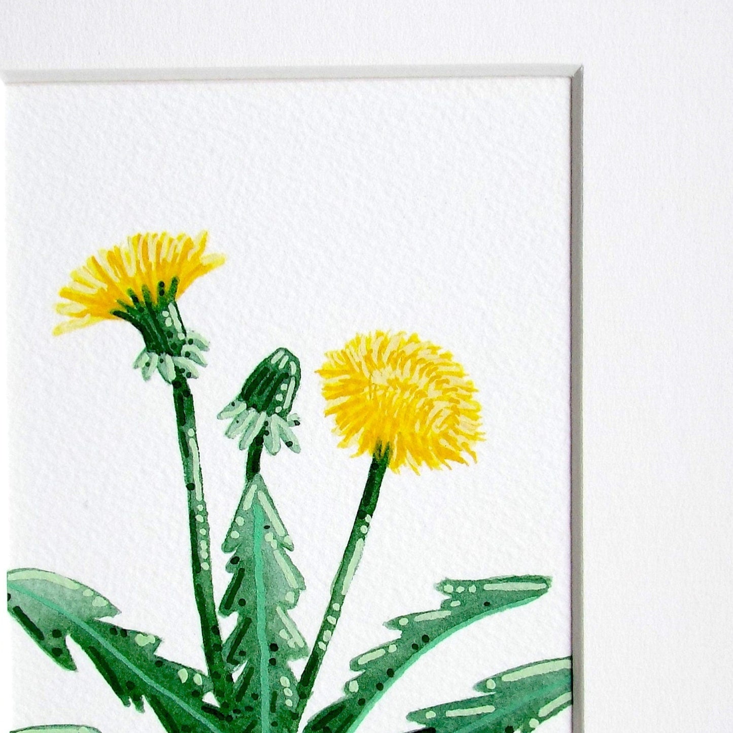 A close up of a watercolour and gouache dandelion painting, showing the details and textures of the artwork