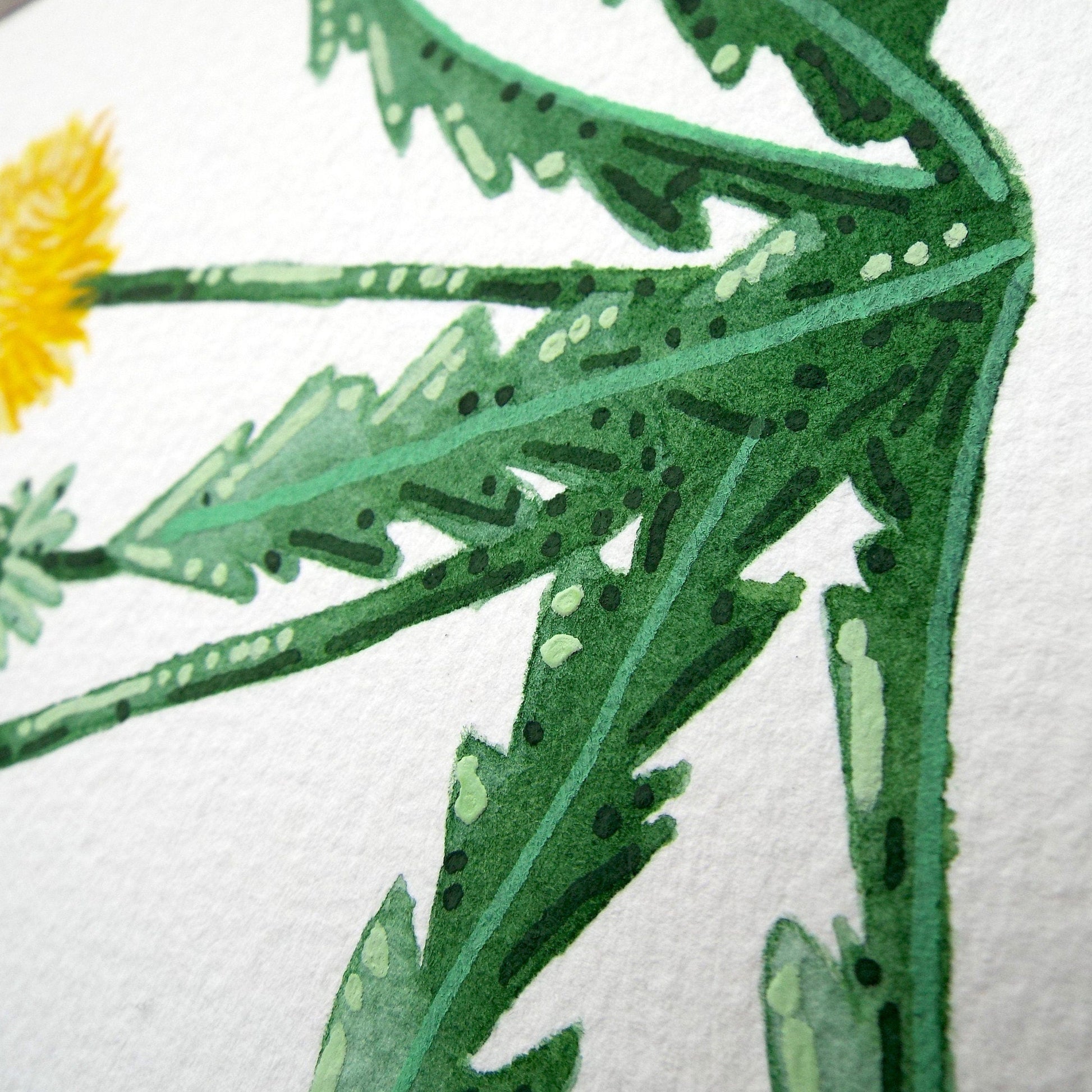 a close up of the dandelion painting showing the details and textures of the green leaves and stems