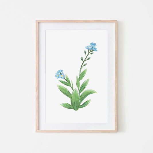 A hand-painted watercolor artwork of a blue forget-me-not flower with green leaves, mounted and framed for display.