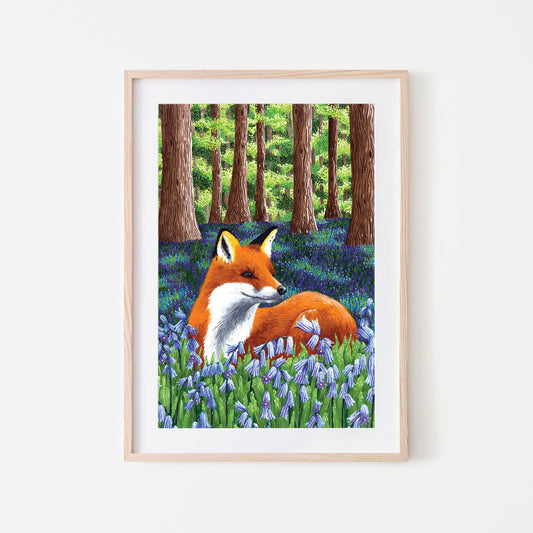 An art print of a red fox lying down amidst bluebell flowers in a woodland setting.