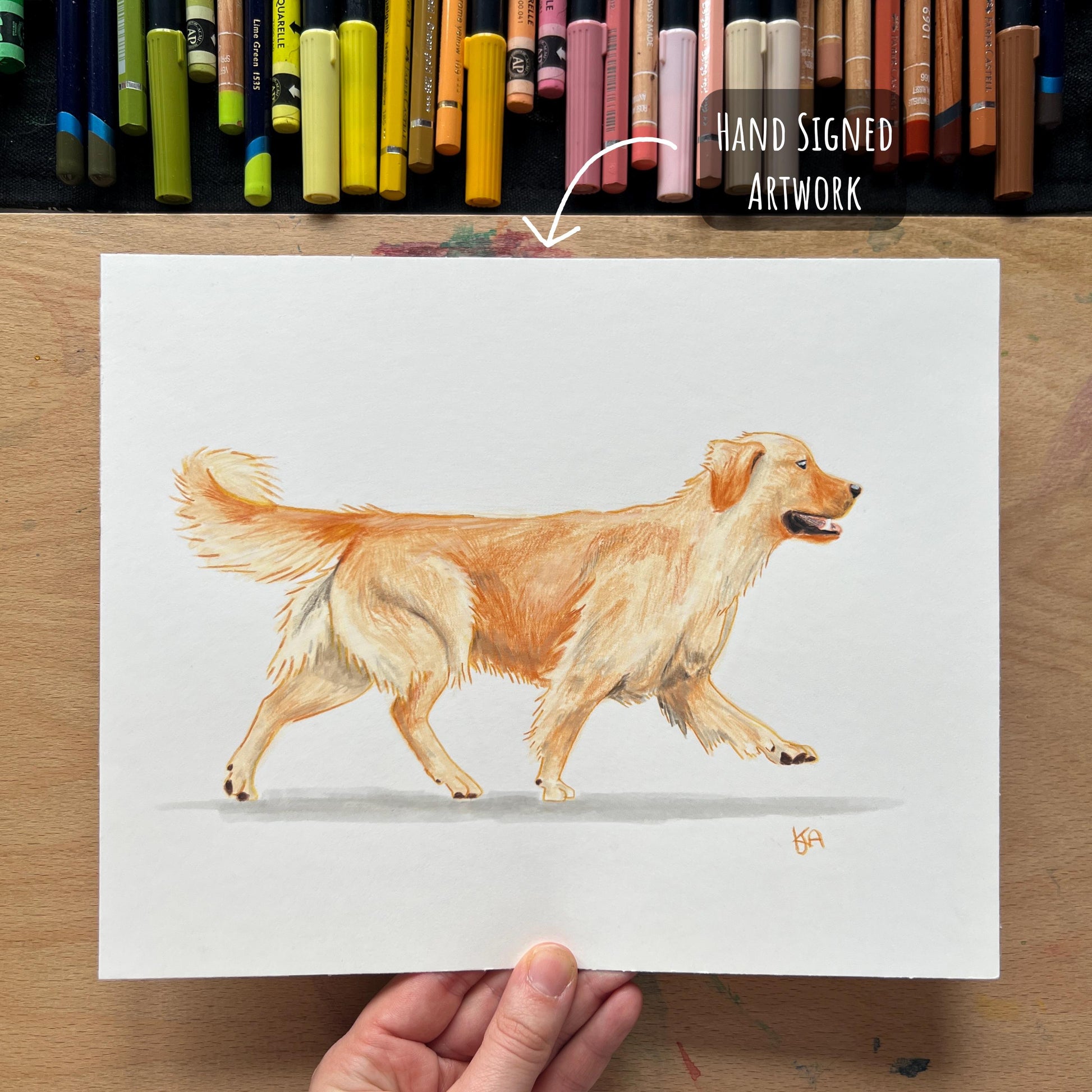 Golden retriever dog portrait in mixed media on 8x10 inch paper hand signed