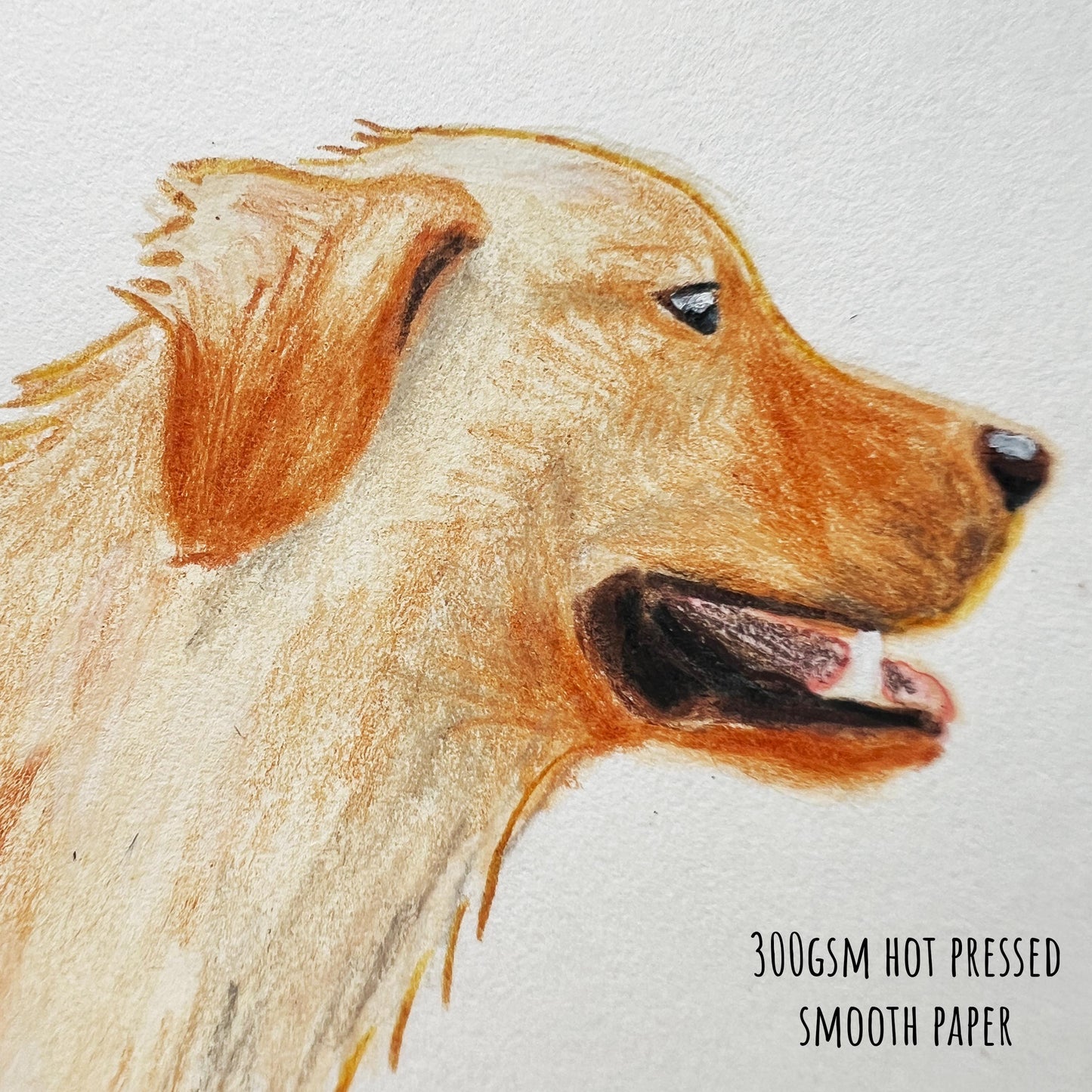 Close-up of hand-painted golden retriever illustration