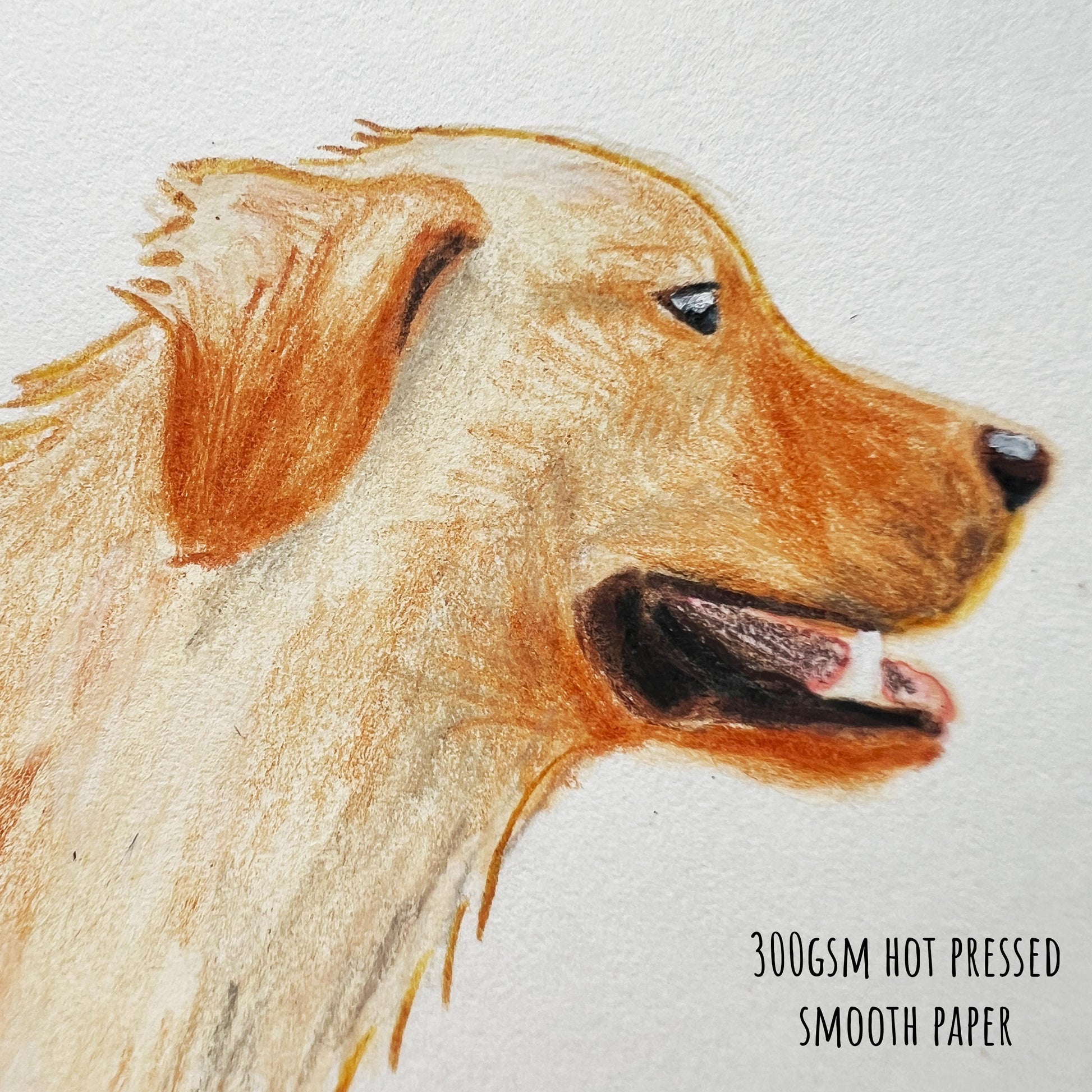 Close-up of hand-painted golden retriever illustration