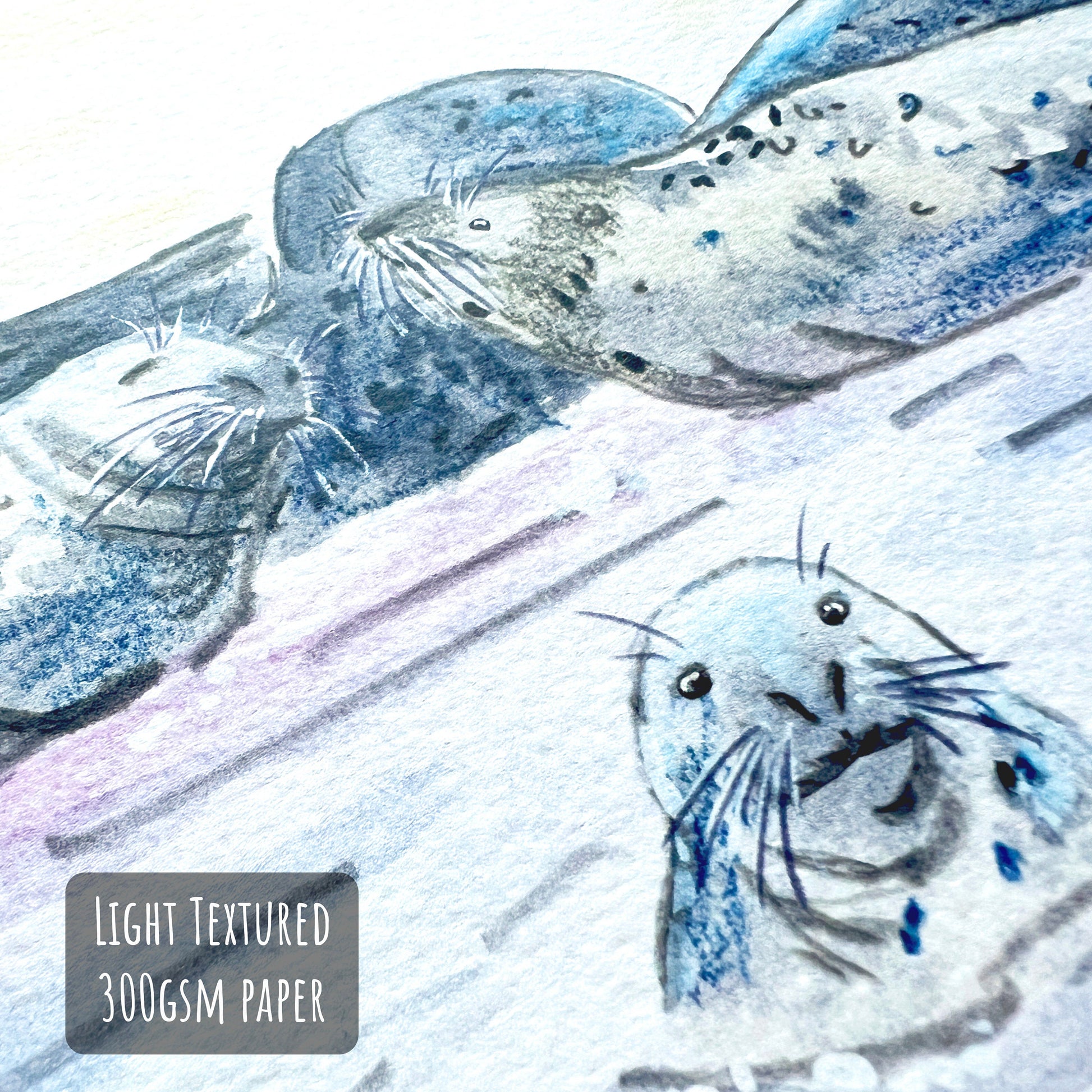 Grey Seal Art Print close up showing the details and textures of the illustration and paper stock.