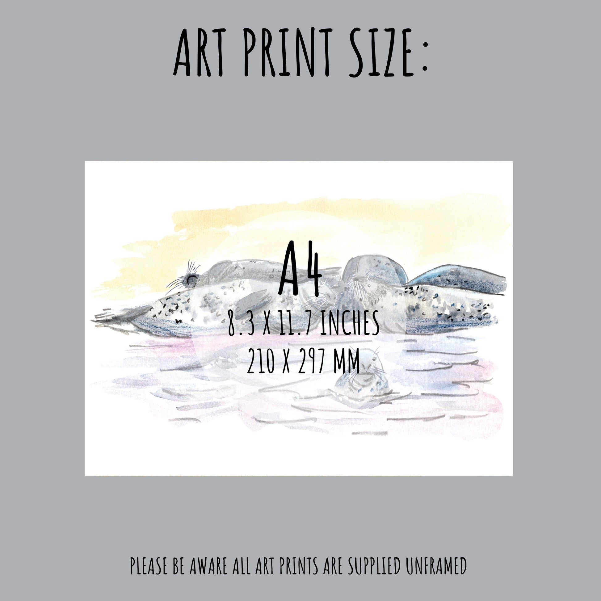 Showing the size of the Grey Seal Art Print which is A4 (210 x 297mm)