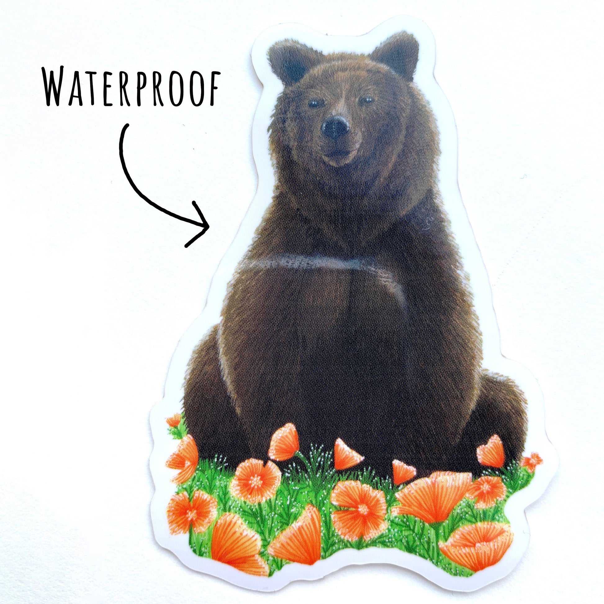 Grizzly Bear and Poppies Vinyl Sticker laying on a white surface with the text waterproof.