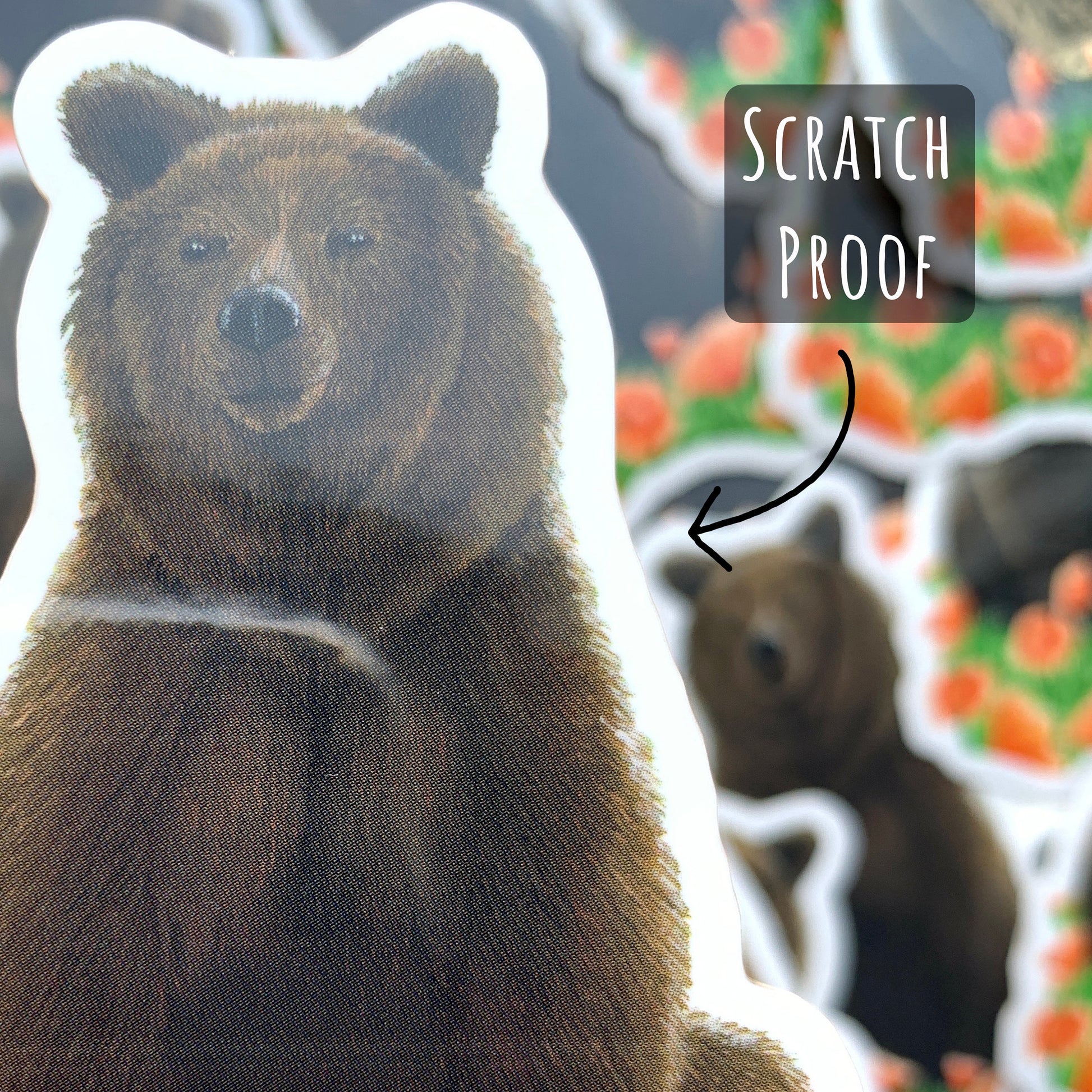 Grizzly Bear and Poppies Vinyl Sticker close up showing the smooth scratch proof surface and details of the illustration.