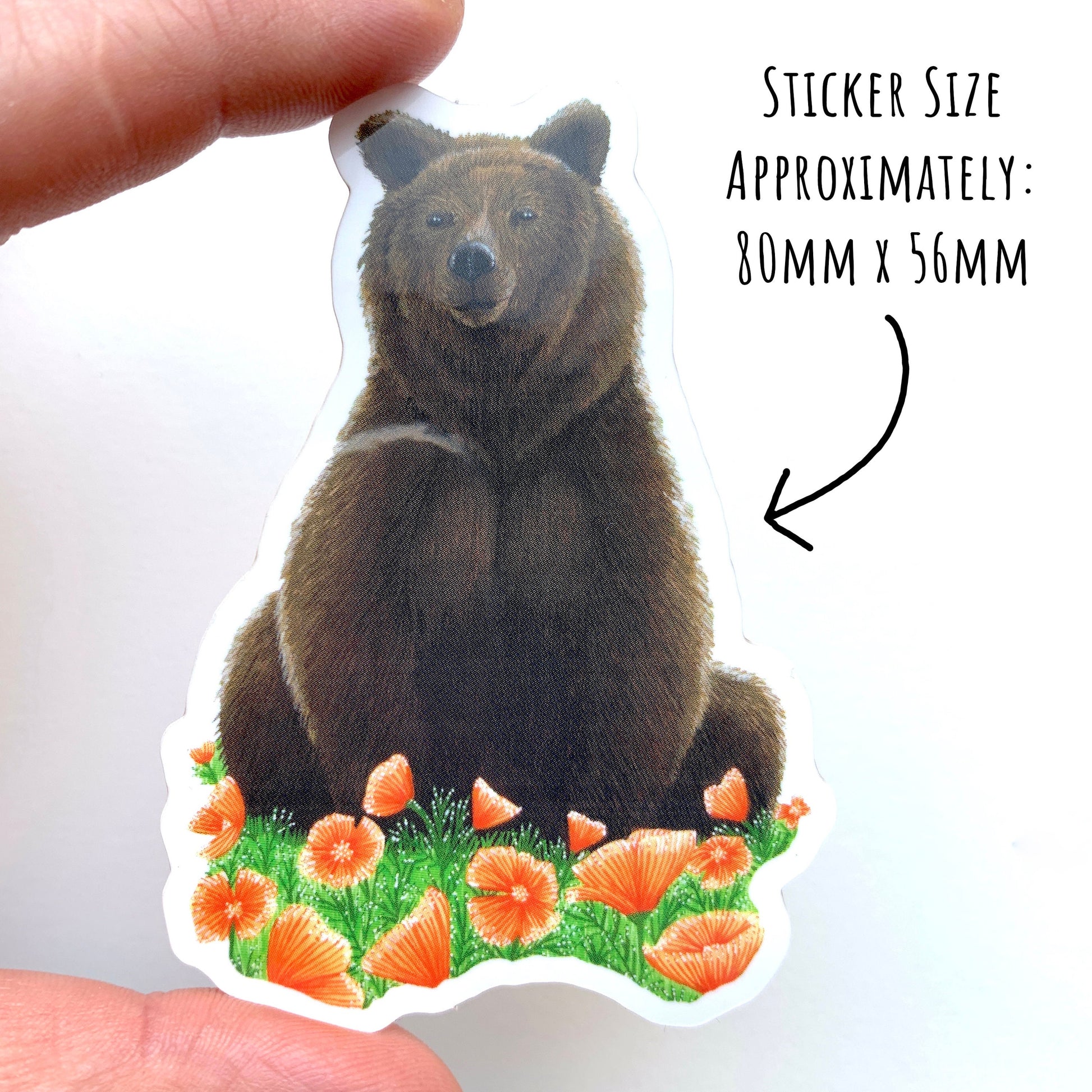 showing the size of the Grizzly Bear and Poppies Vinyl Sticker which is approximately 80 x 56mm.