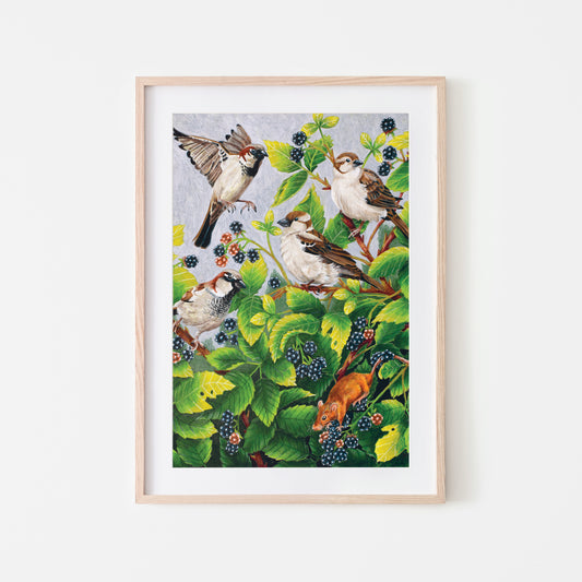 Showing a fine art print featuring house sparrows birds amongst fruiting blackberry brambles with a mouse climbing on the blackberries