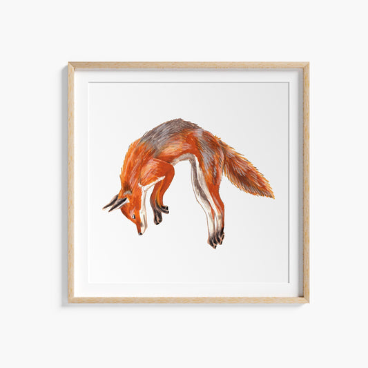 A framed art print of a red fox jumping in mid-air, displayed against a white background.
