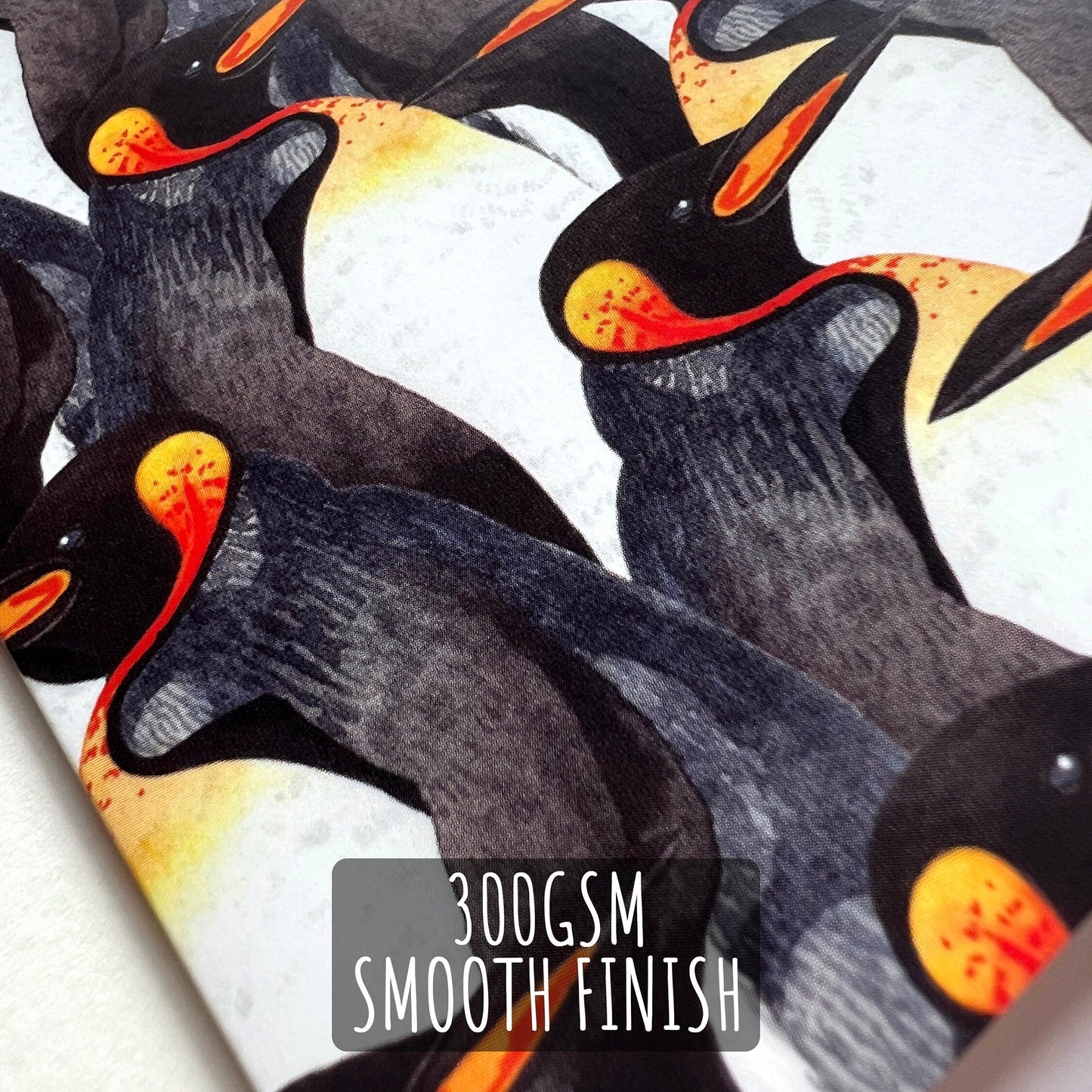 King Penguin Watercolour Note Card close up showing the details and textures on the illustration and paper stock. with the text 300gsm smooth finish.