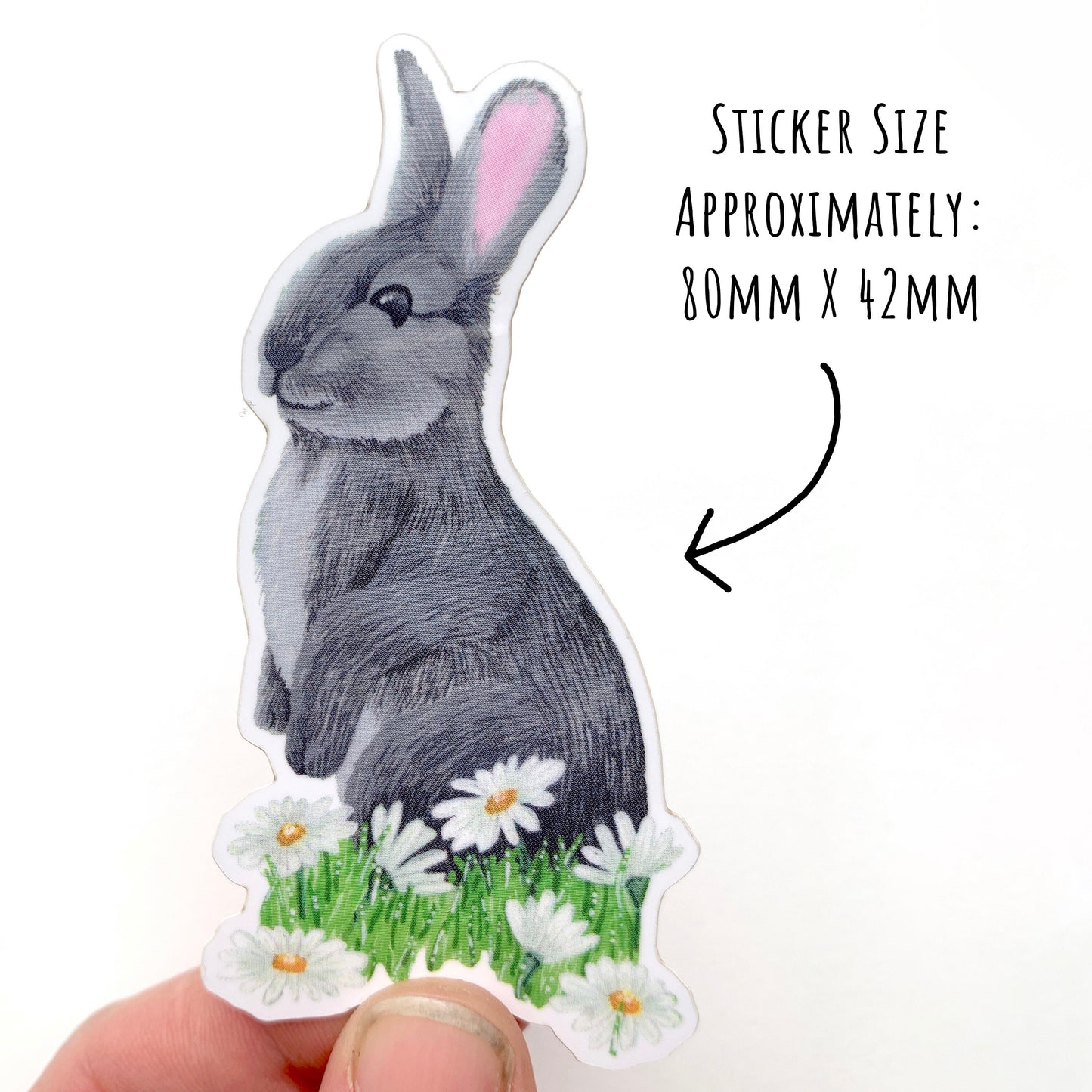 showing the size of the Little Wild Rabbit and Daisies Sticker 80mm x 42mm.