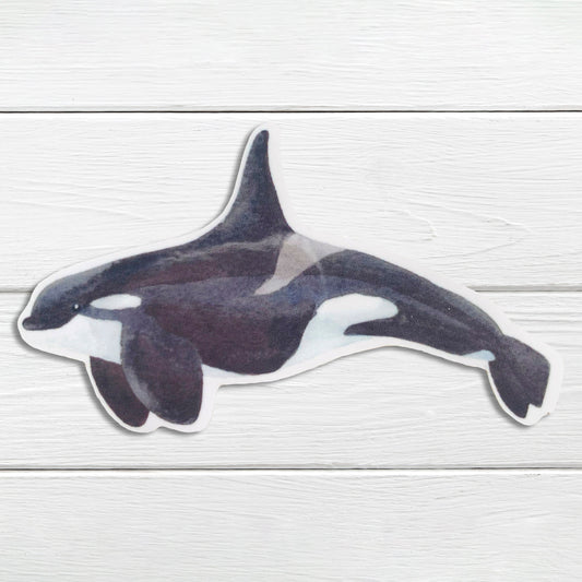 A sticker depicting a orca (killer whale) in black and white colors on a wooden background.