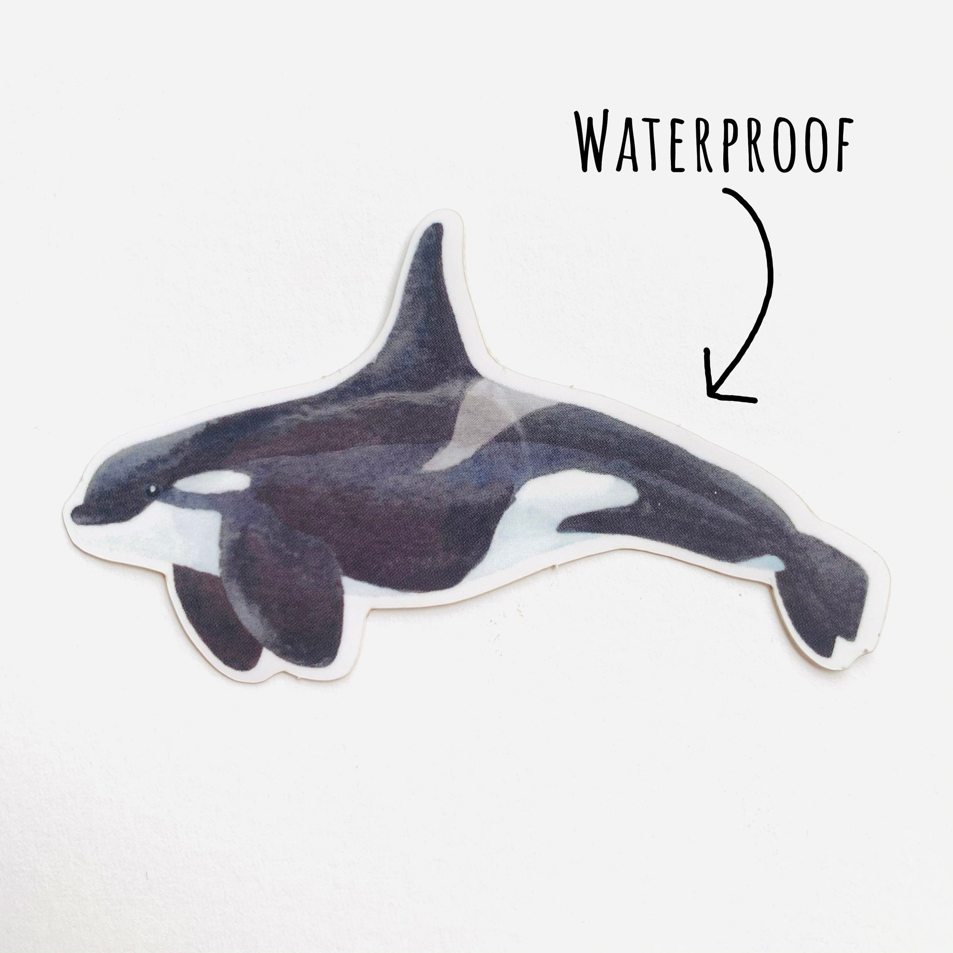 Orca Whale Sticker laying flat on a white surface with the text waterproof.