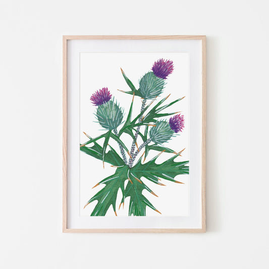 Hand-painted watercolor illustration of a purple thistle flower with green leaves, presented in a wooden frame.