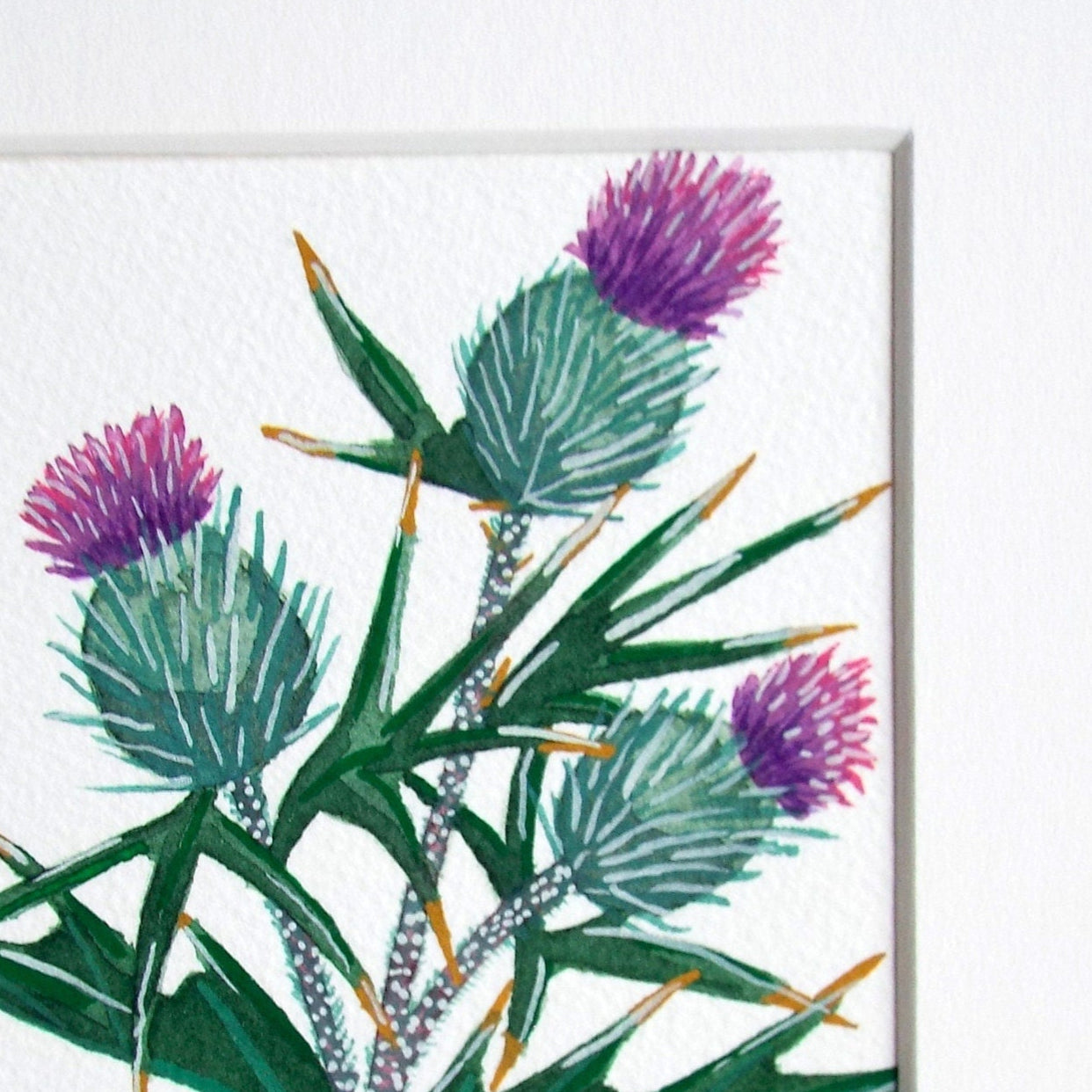 Illustration of thistle flowers with green leaves and purple flowers on a white paper close up. showing the details and textures of the painting