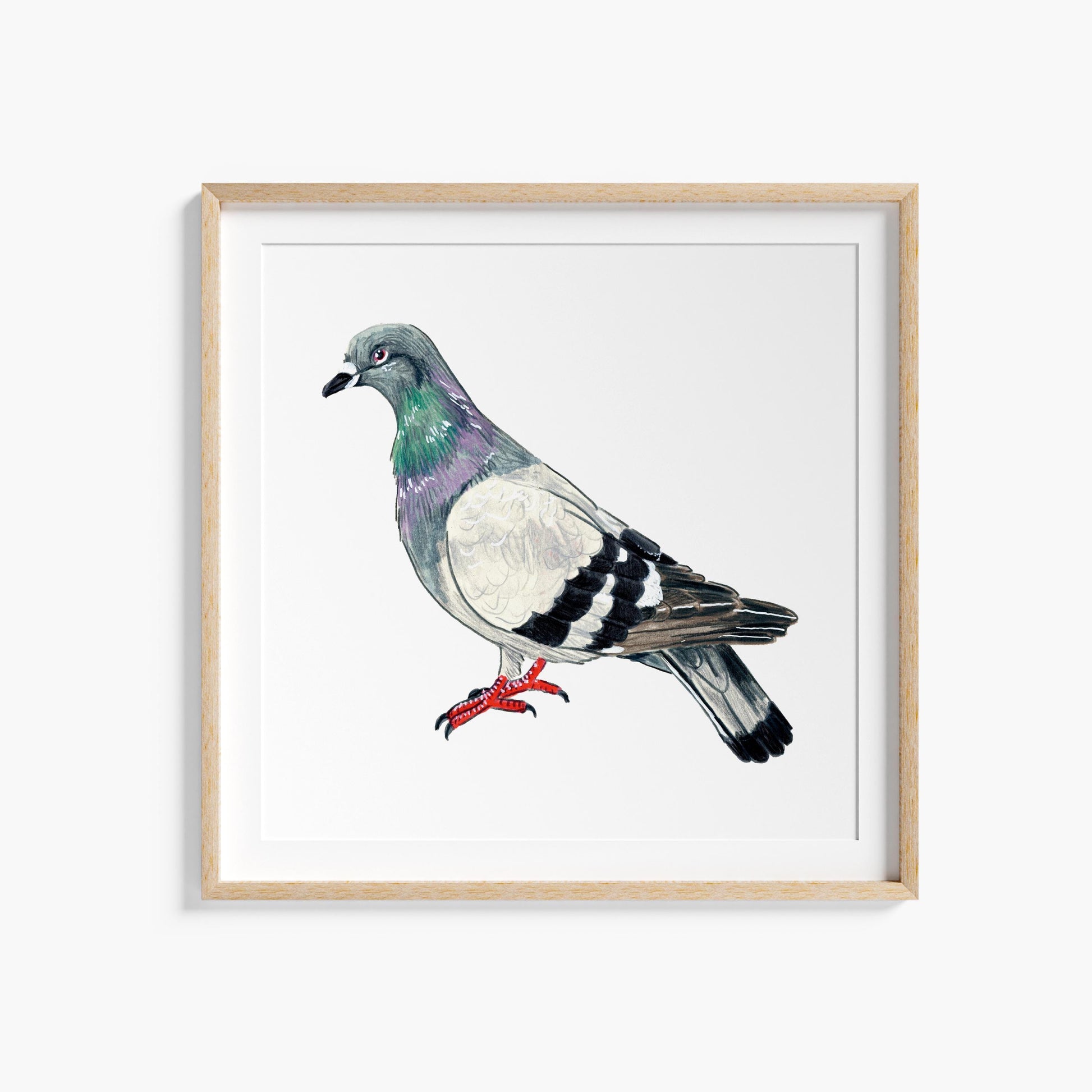 A square art print of a colorful pigeon with a watercolor paper texture, framed in a light wooden frame.