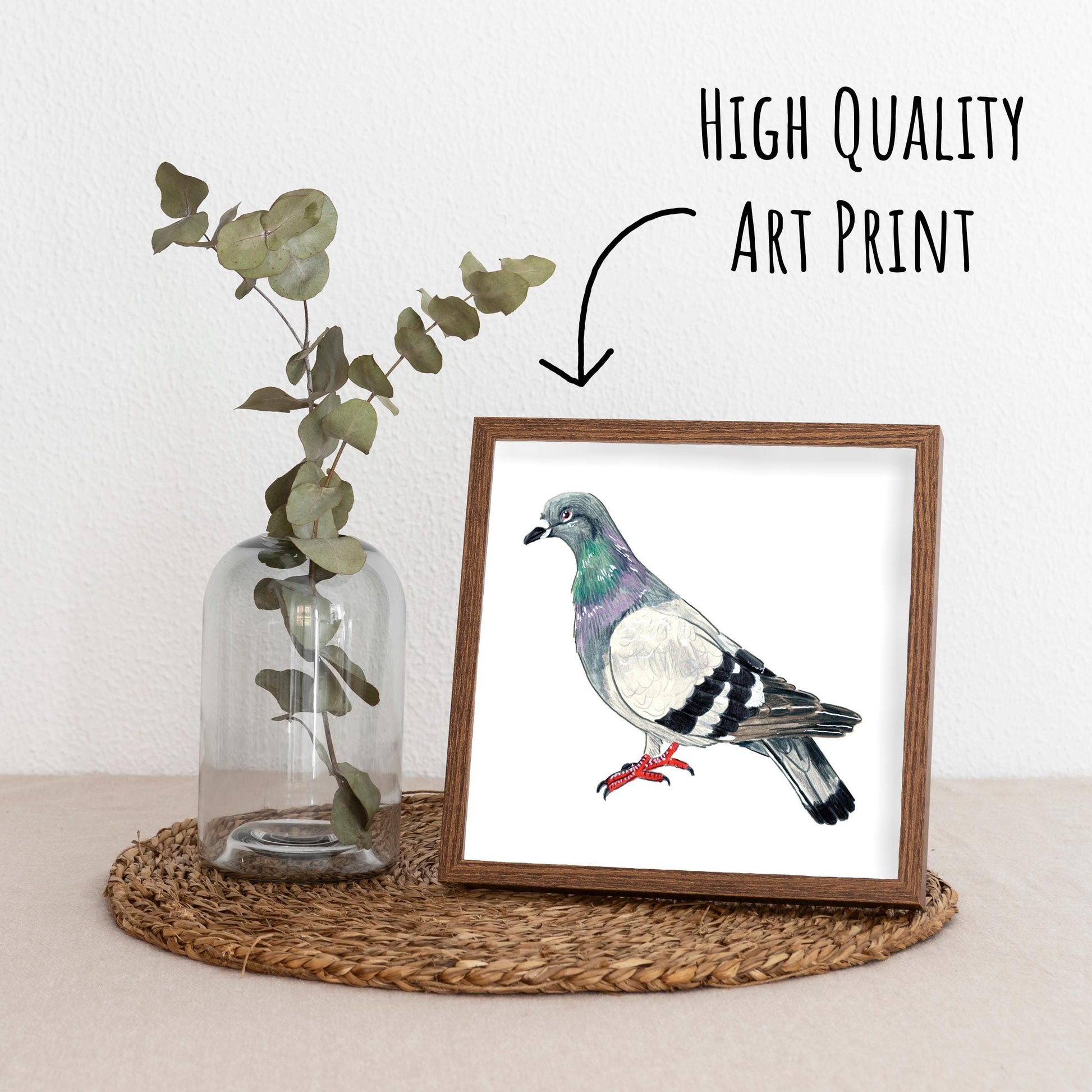 Pigeon Art Print in a dark wooden frame standing on a straw table mat with a glass vase with a eucalyptus branch.