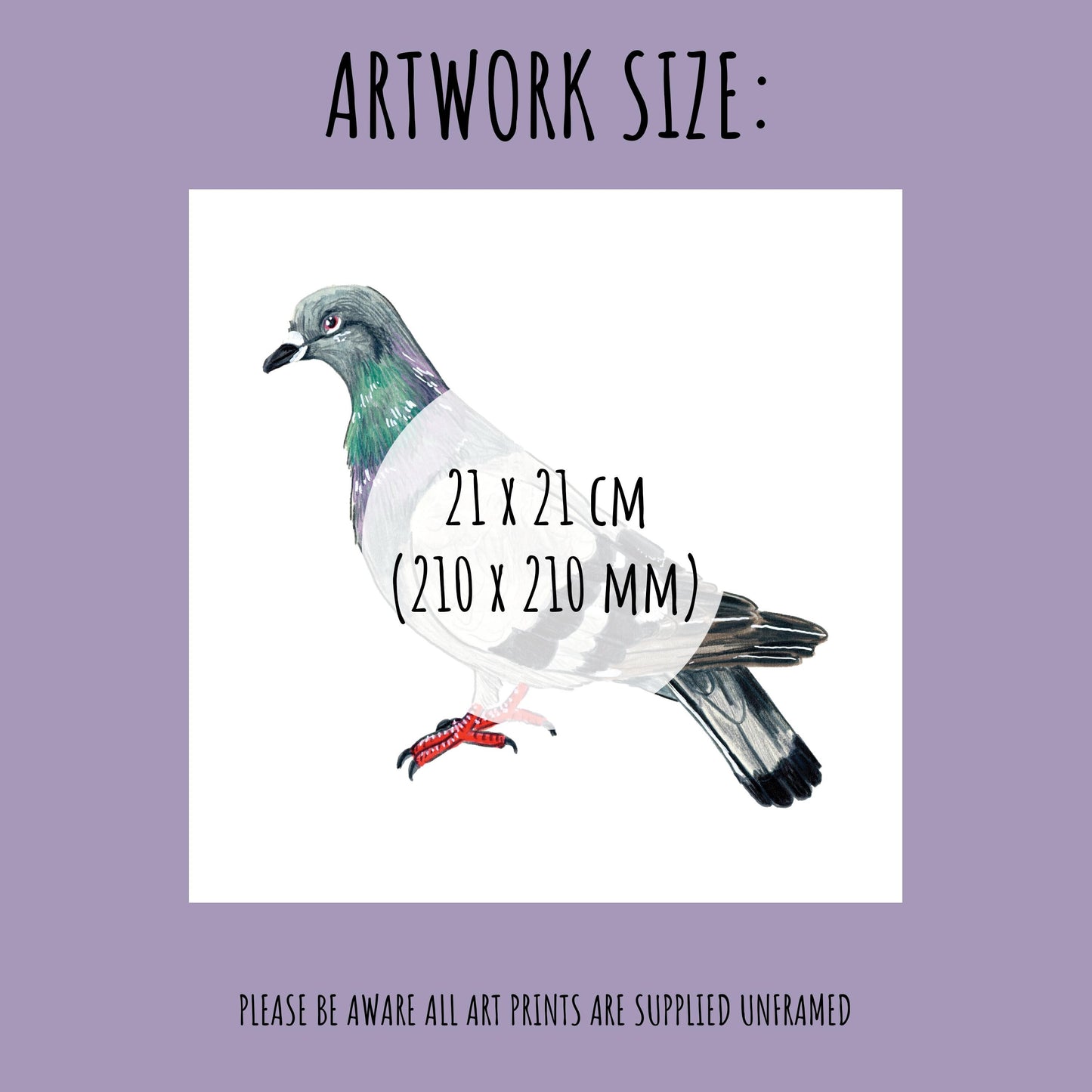 showing the size of the Pigeon Art Print which is 21 x 21 cm (210mm x 210mm)