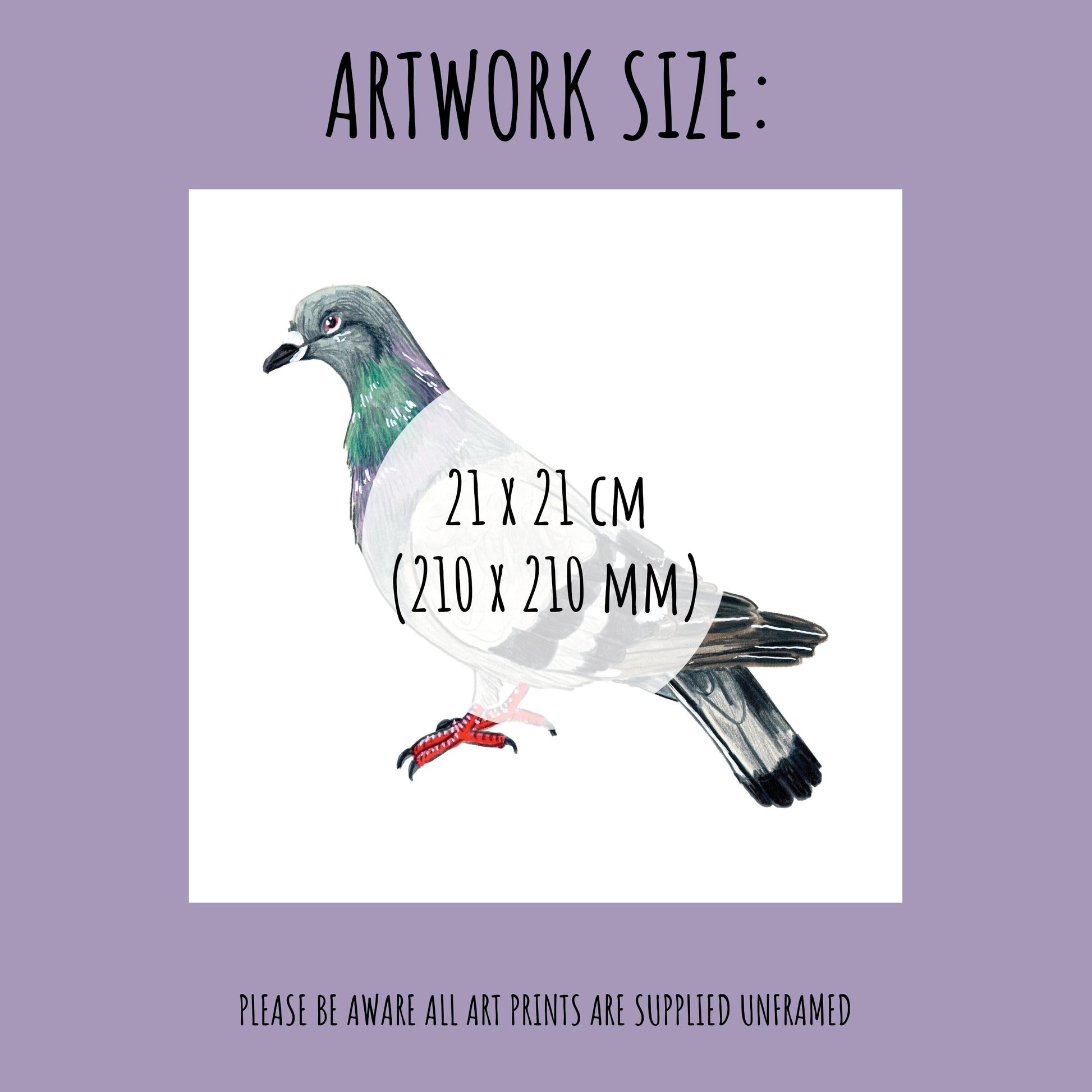 showing the size of the Pigeon Art Print which is 21 x 21 cm (210mm x 210mm)