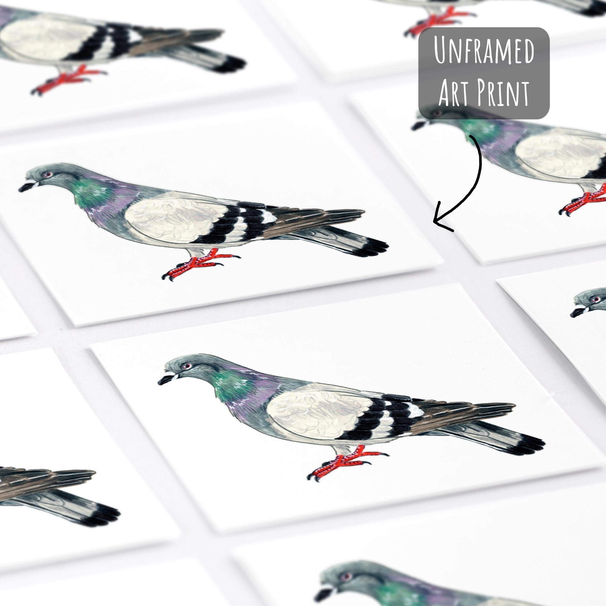 Pigeon Art Print unframed laying flat on a white surface.