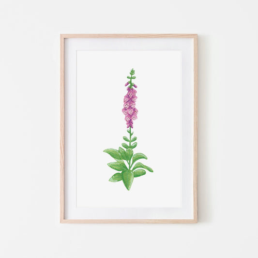 Original flower painting of a pink foxglove with flowers stem and leaves with picture mount included. painted in watercolour and gouache