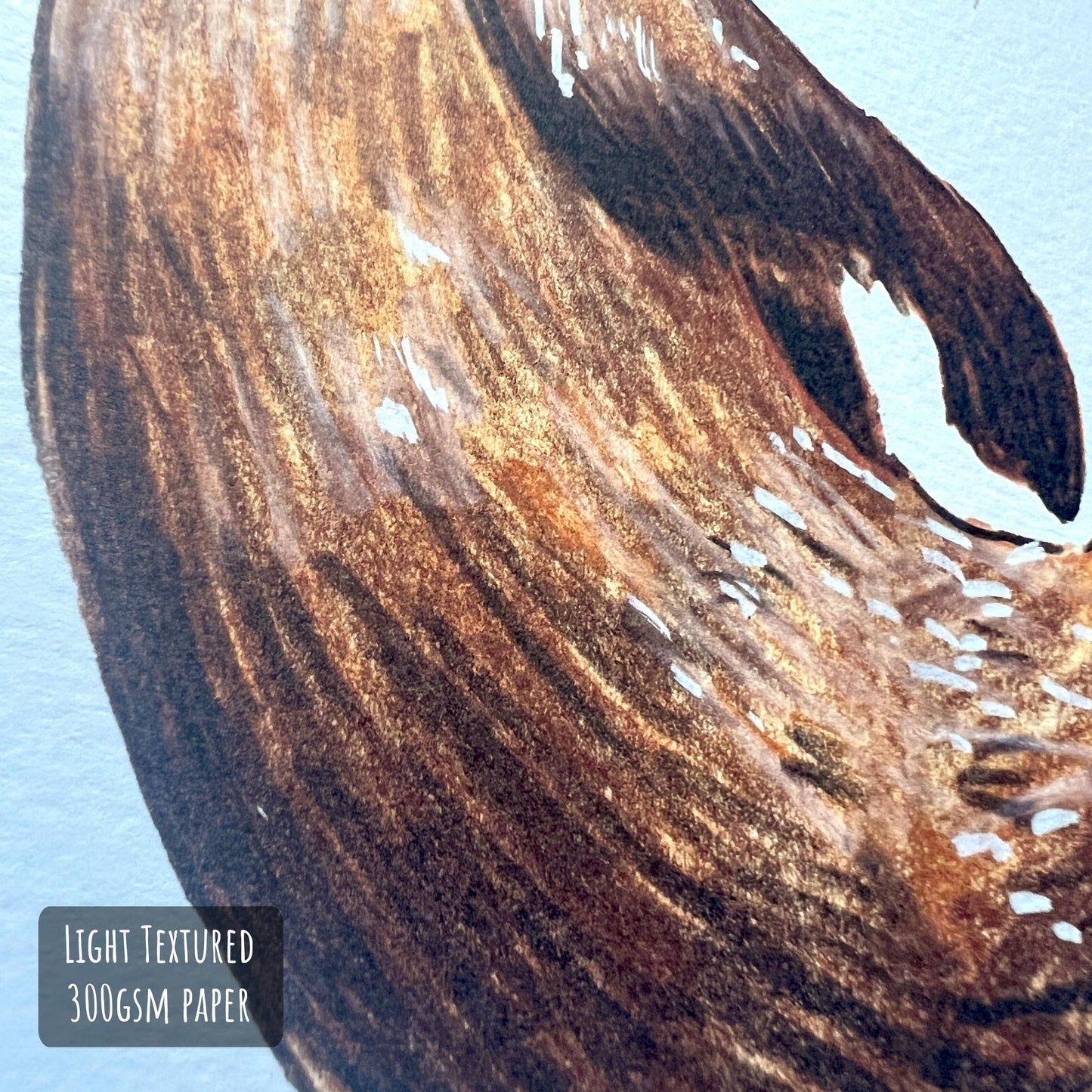 Playful Otter Art Print close up showing the details and textures on the illustration and paper stock.