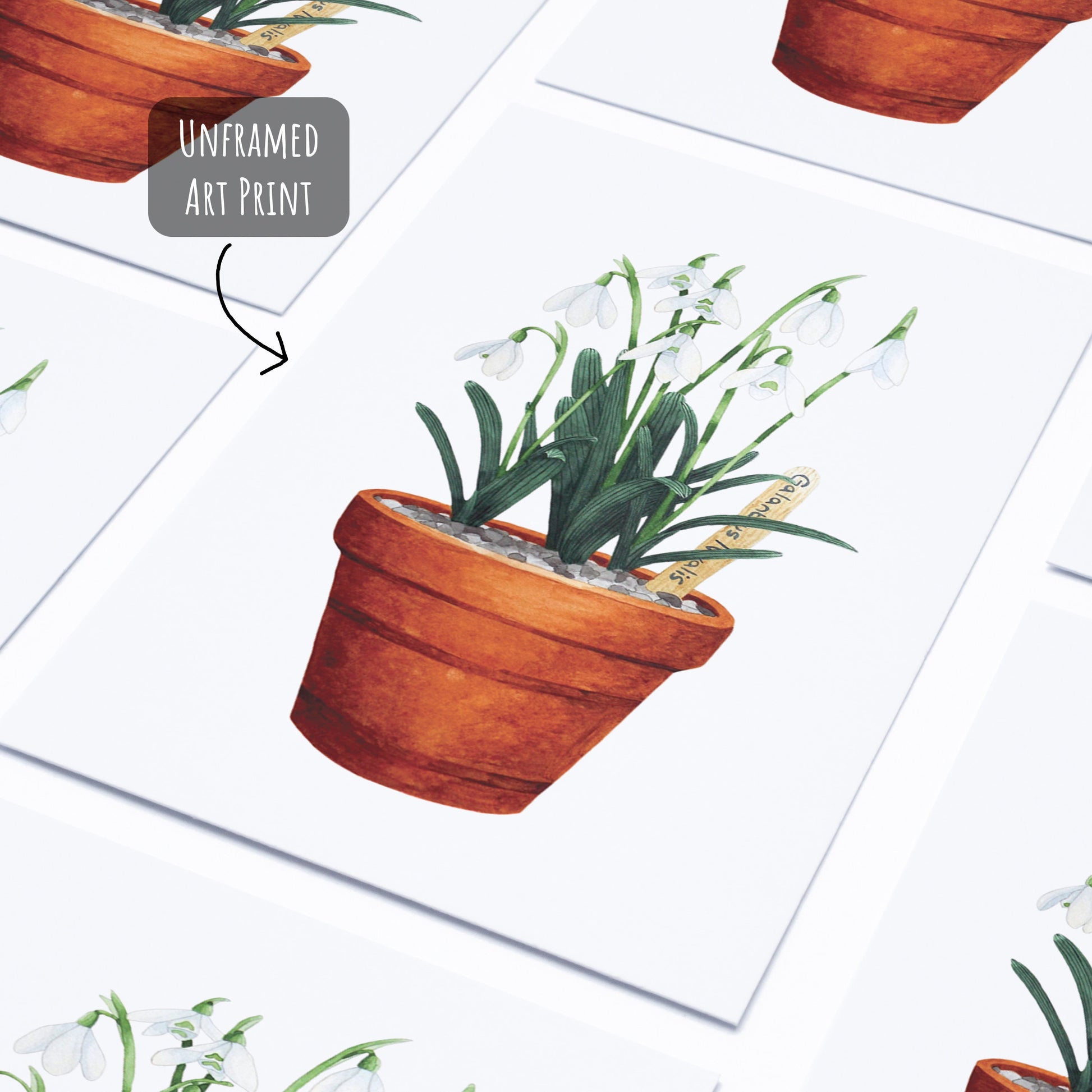 Potted Snowdrop Art Print laying flat on a white surface.