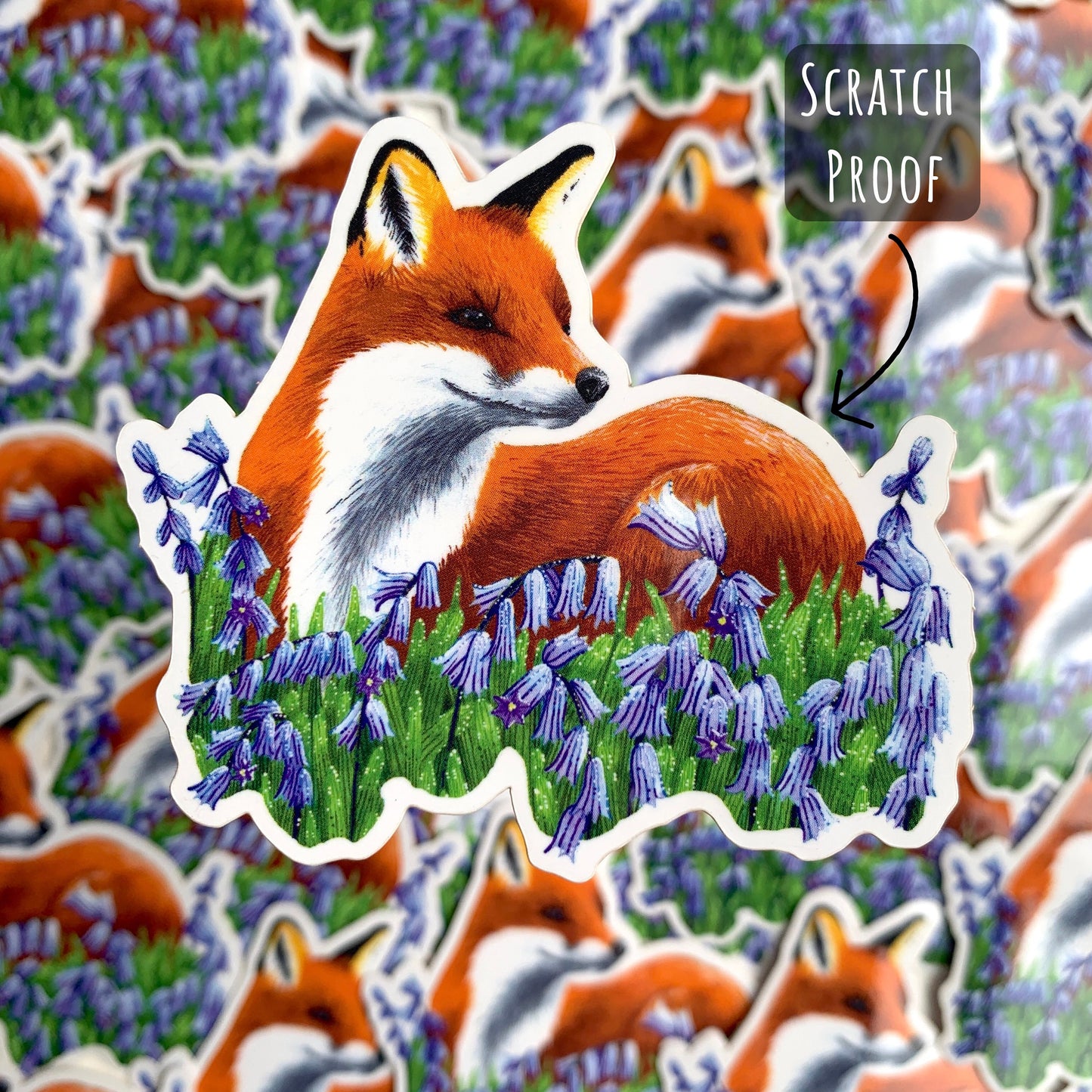 Red Fox and Bluebells Sticker sticker with a out of focused back fo Red Fox and Bluebells Stickers with the text scratch proof.