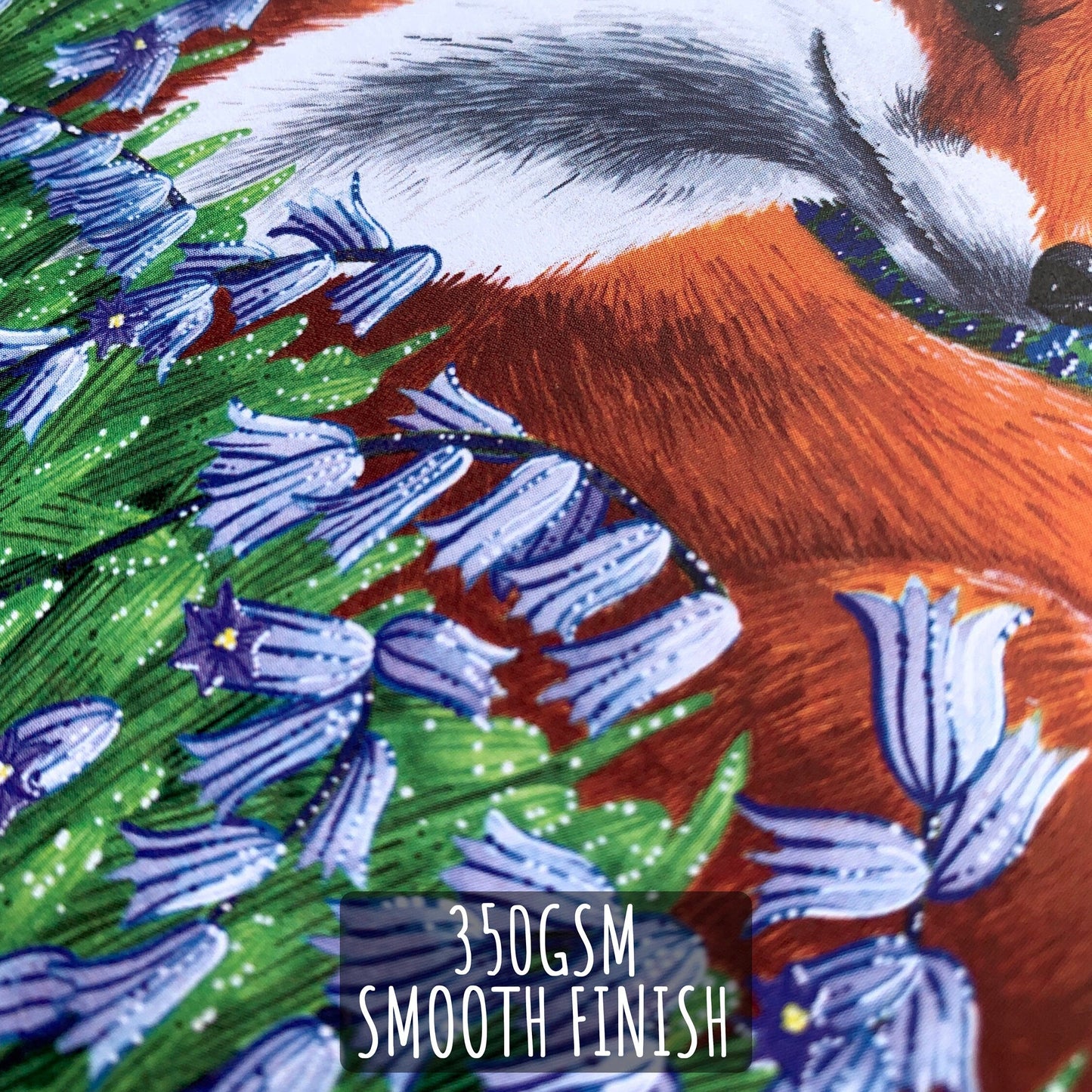 Red Fox with bluebells Birthday Card close up showing the details and textures of the illustration and paper stock. with the text 350gsm smooth finish.