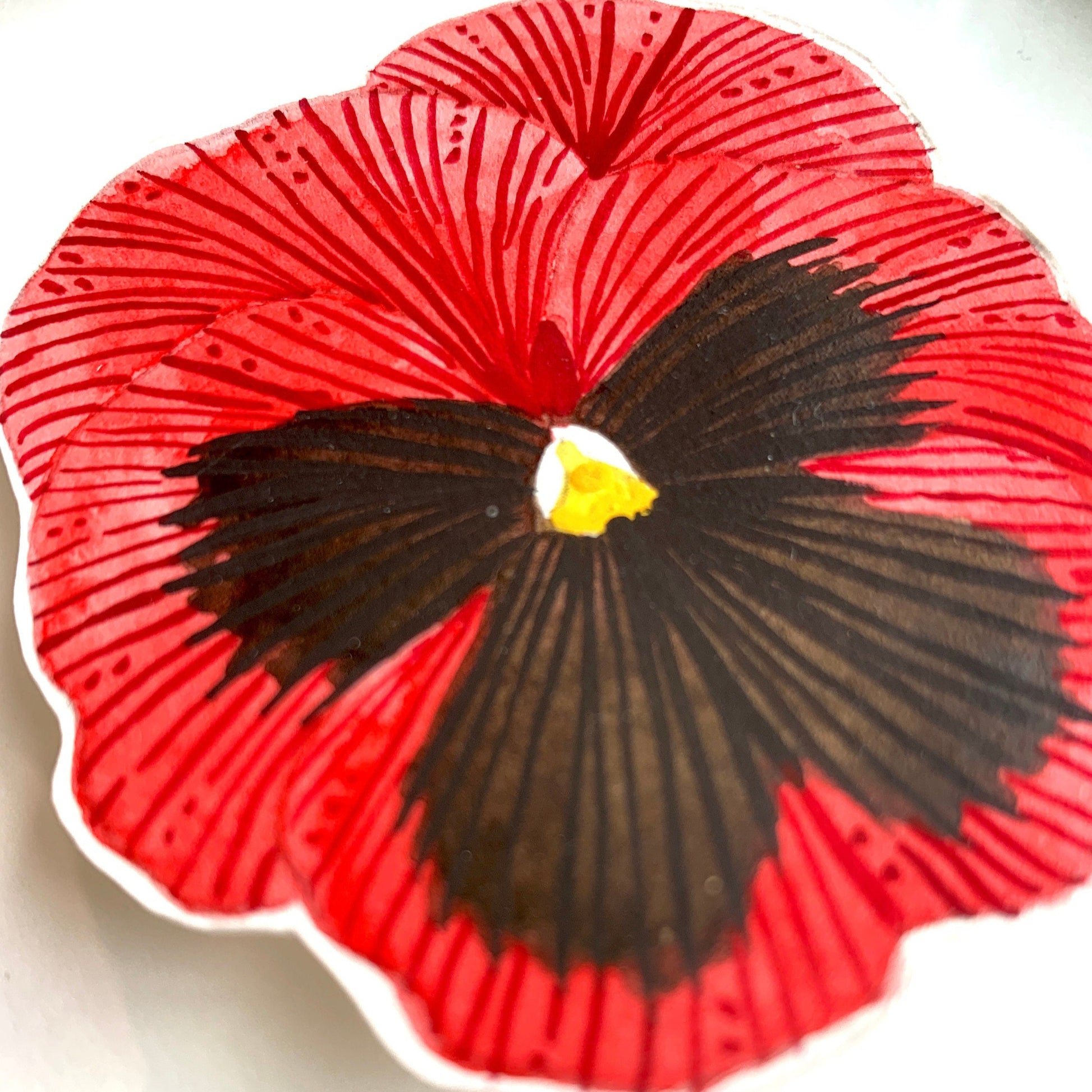 Framed botanical art featuring red pansy on white background close up