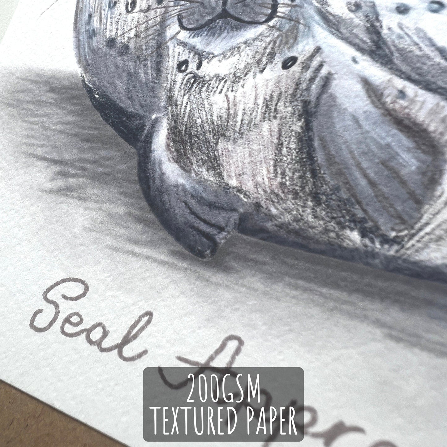 Seal Approved Dad Birthday Day Card close up showing the details and textures of the illustration and paper stock. with the text 200gsm textured paper.