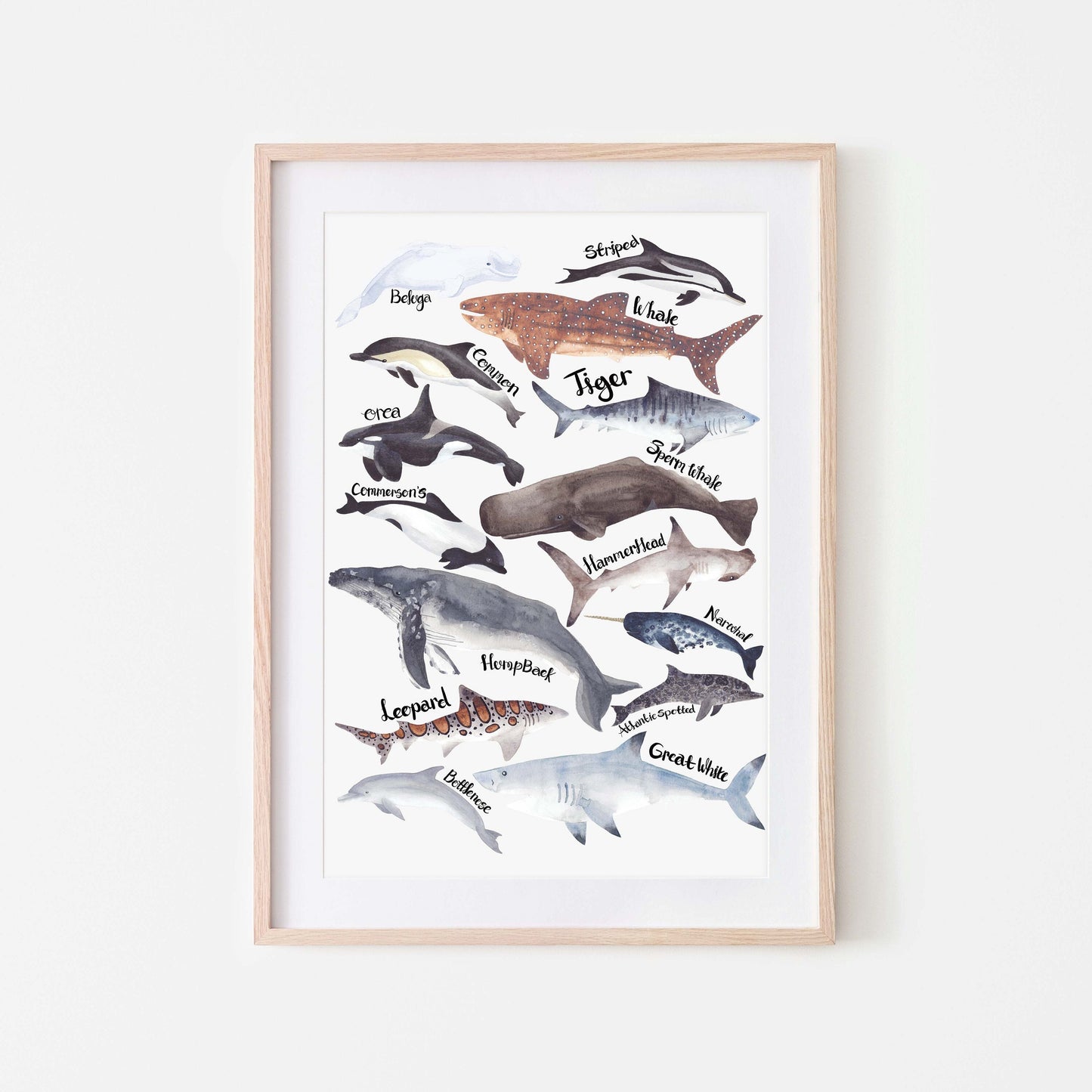 An art print featuring watercolor illustrations of various sharks, dolphins, and whales with their names labeled next to them, displayed in a wooden frame.