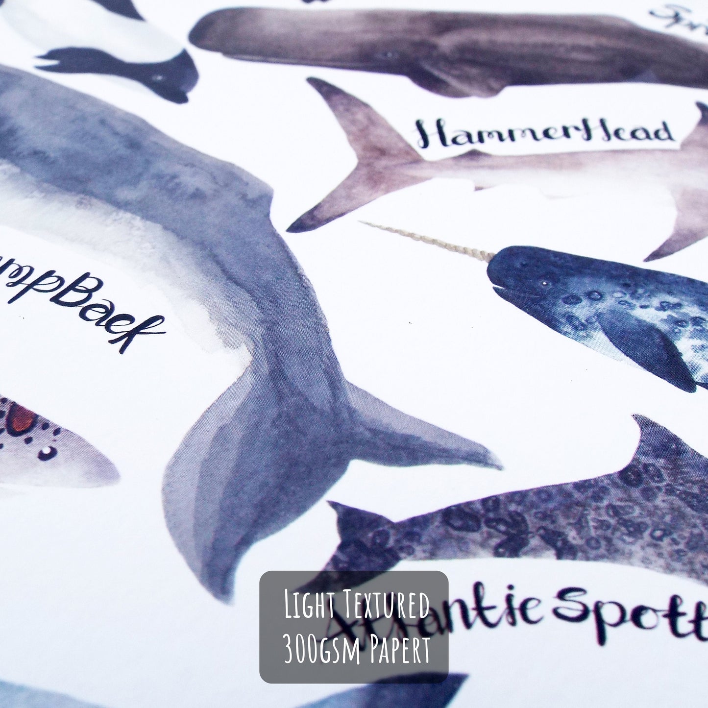 Sharks, Dolphins & Whales Art Print close up showing the details and textures of the paper and illustrations.