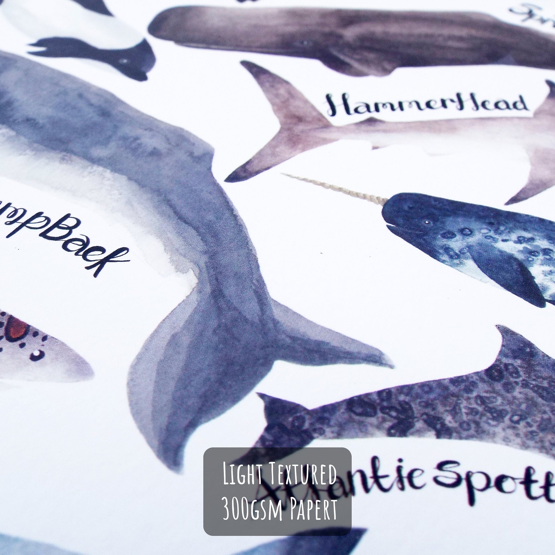 Sharks, Dolphins & Whales Art Print close up showing the details and textures of the paper and illustrations.