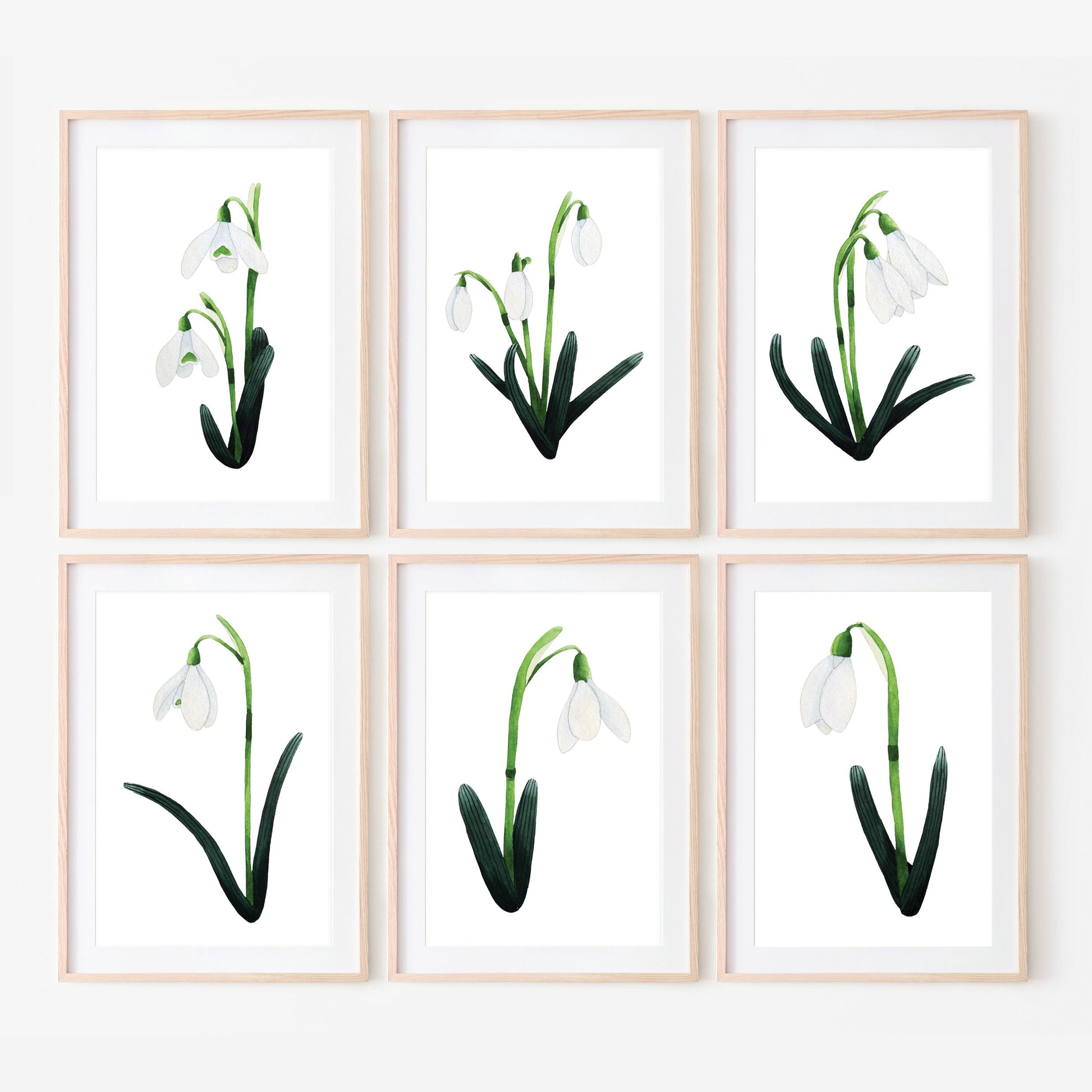 A set of six framed mini prints of snowdrop flowers arranged in two rows on a white background.