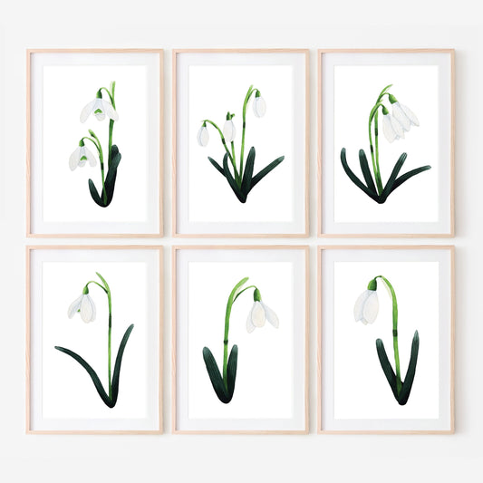 A set of six framed mini prints of snowdrop flowers arranged in two rows on a white background.