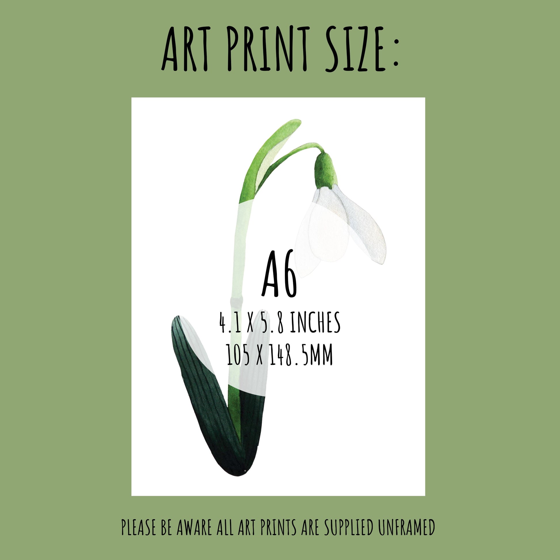 showing the size of the 6 Snowdrop Art Print Set. A6 (105 x 148.5mm)