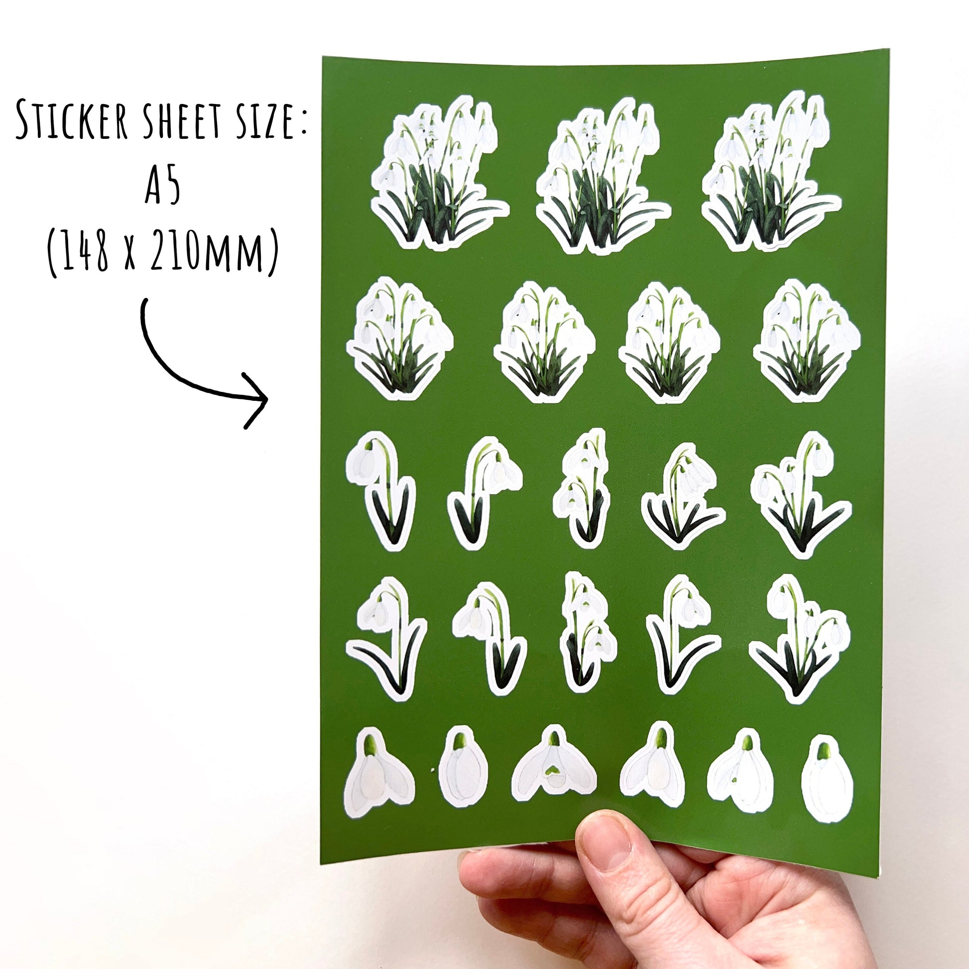 Snowdrop Flower Sticker Sheet being held up with a white background with the text sticker sheet size: A5 (148 x 210mm)
