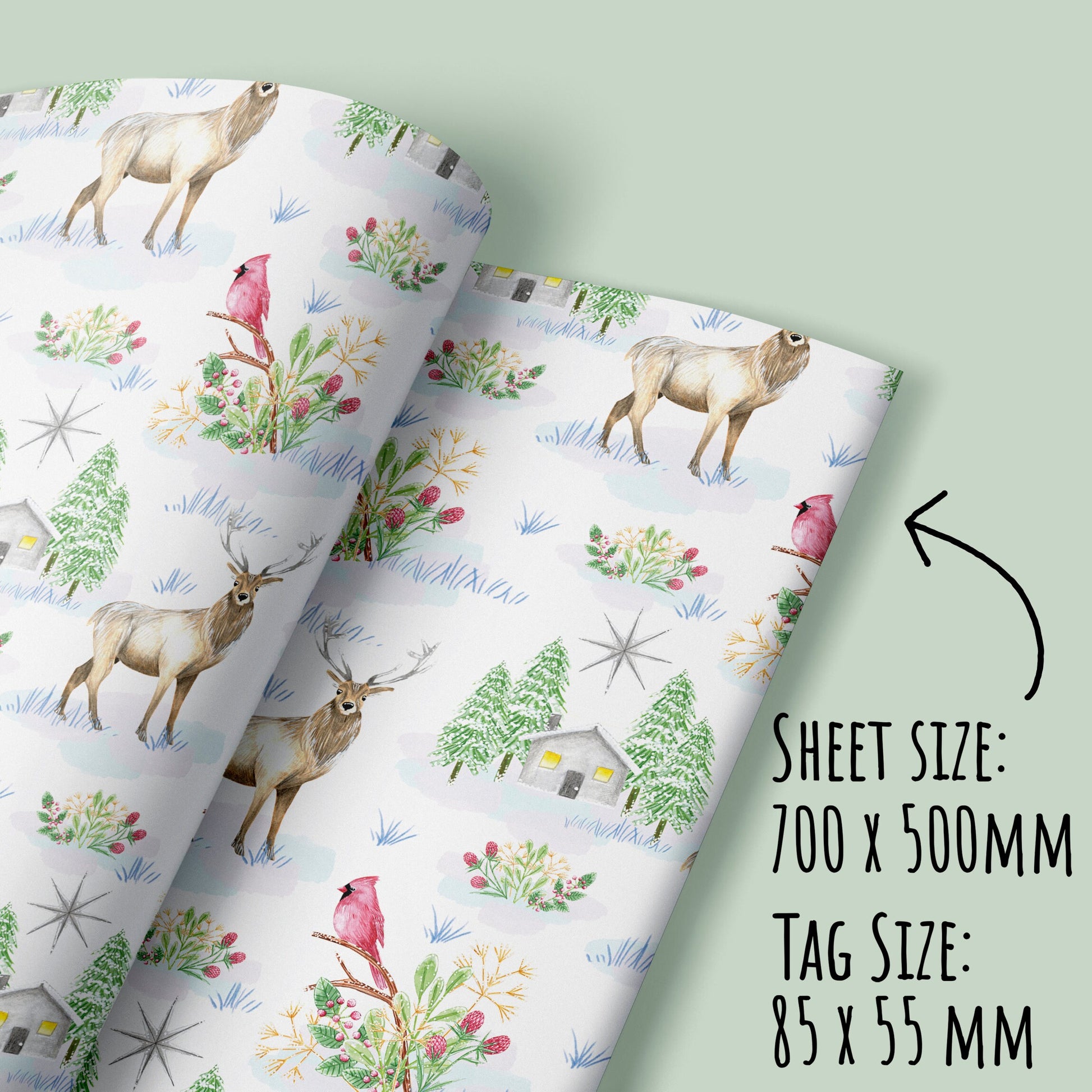 Showing the size of the Snowy Winter Scene Wrapping Paper with the text sheet size: 700 x 500mm, Tag size: 85 x 55mm. on a light pale green background.